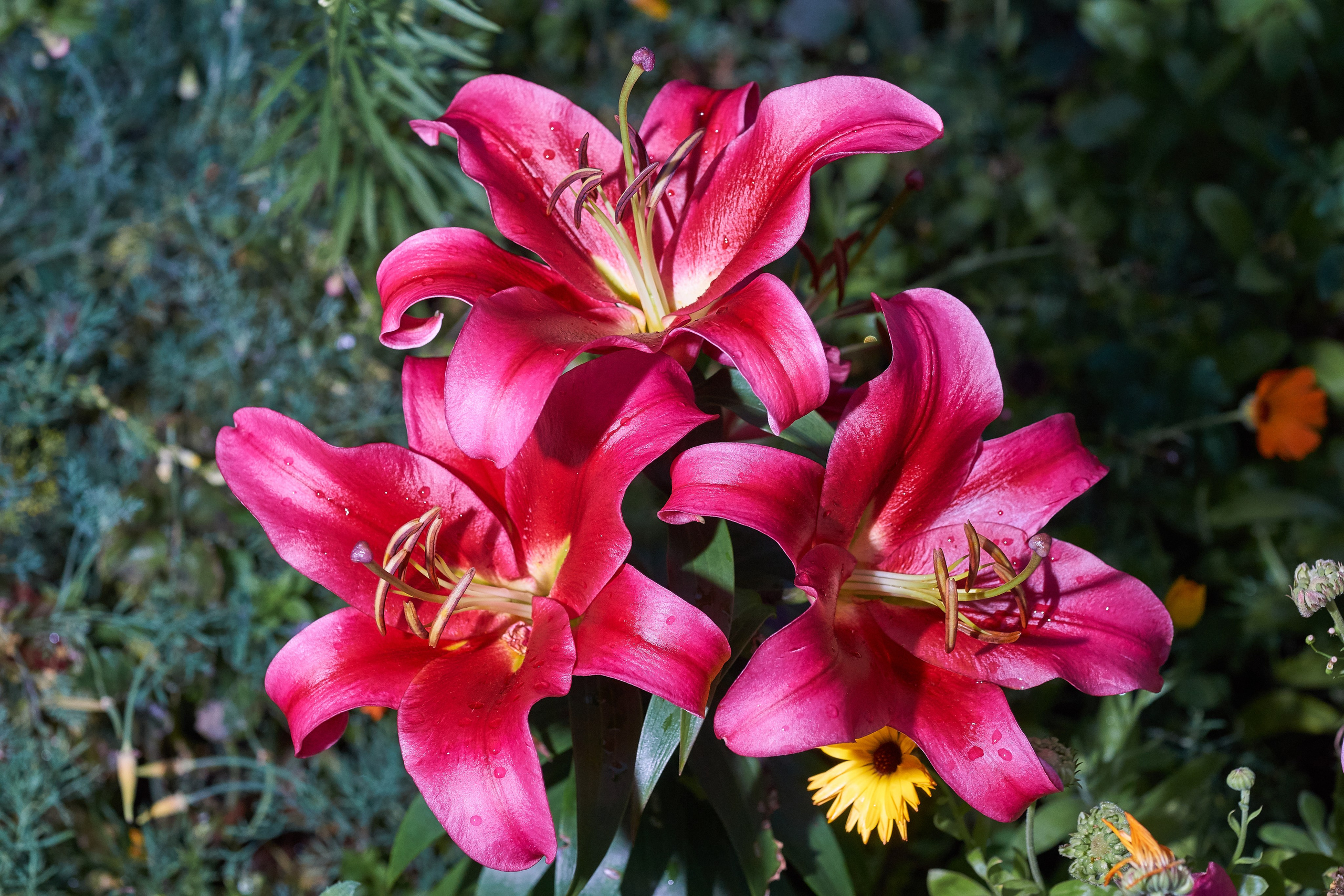 Наша мать — природа. Фотограф Владимир Артамонов