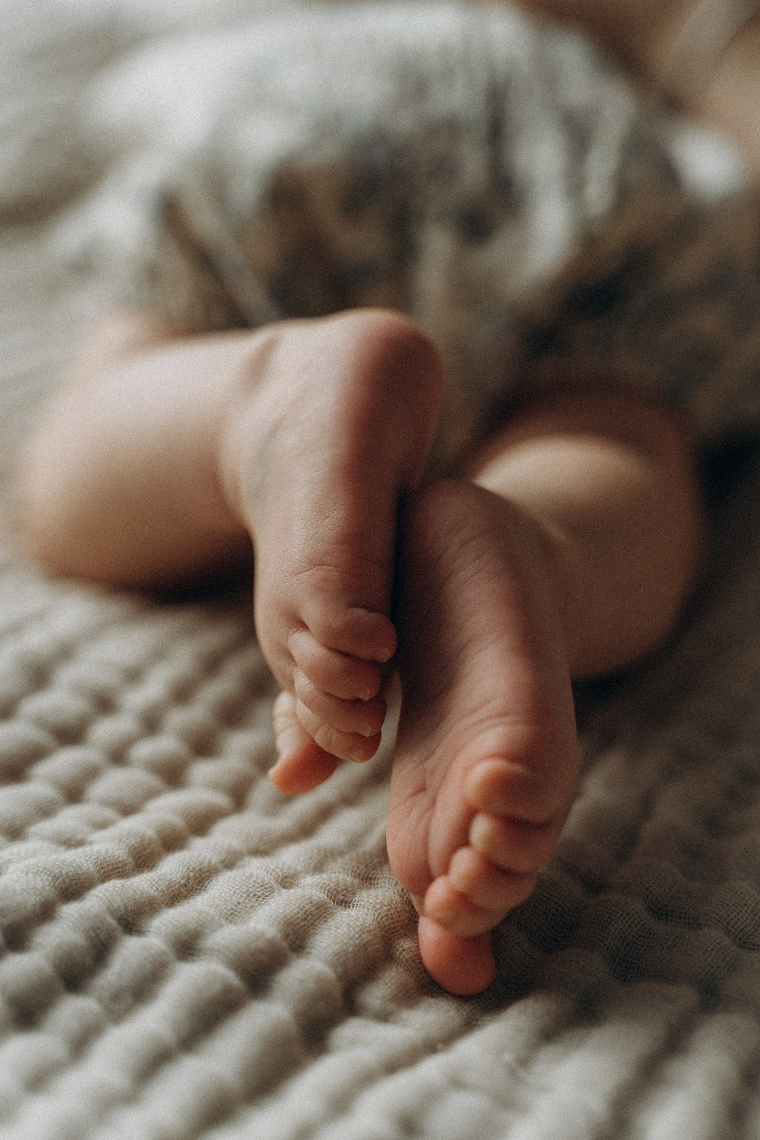 Ньюборн. Фотограф в Москве. Татьяна Родовская