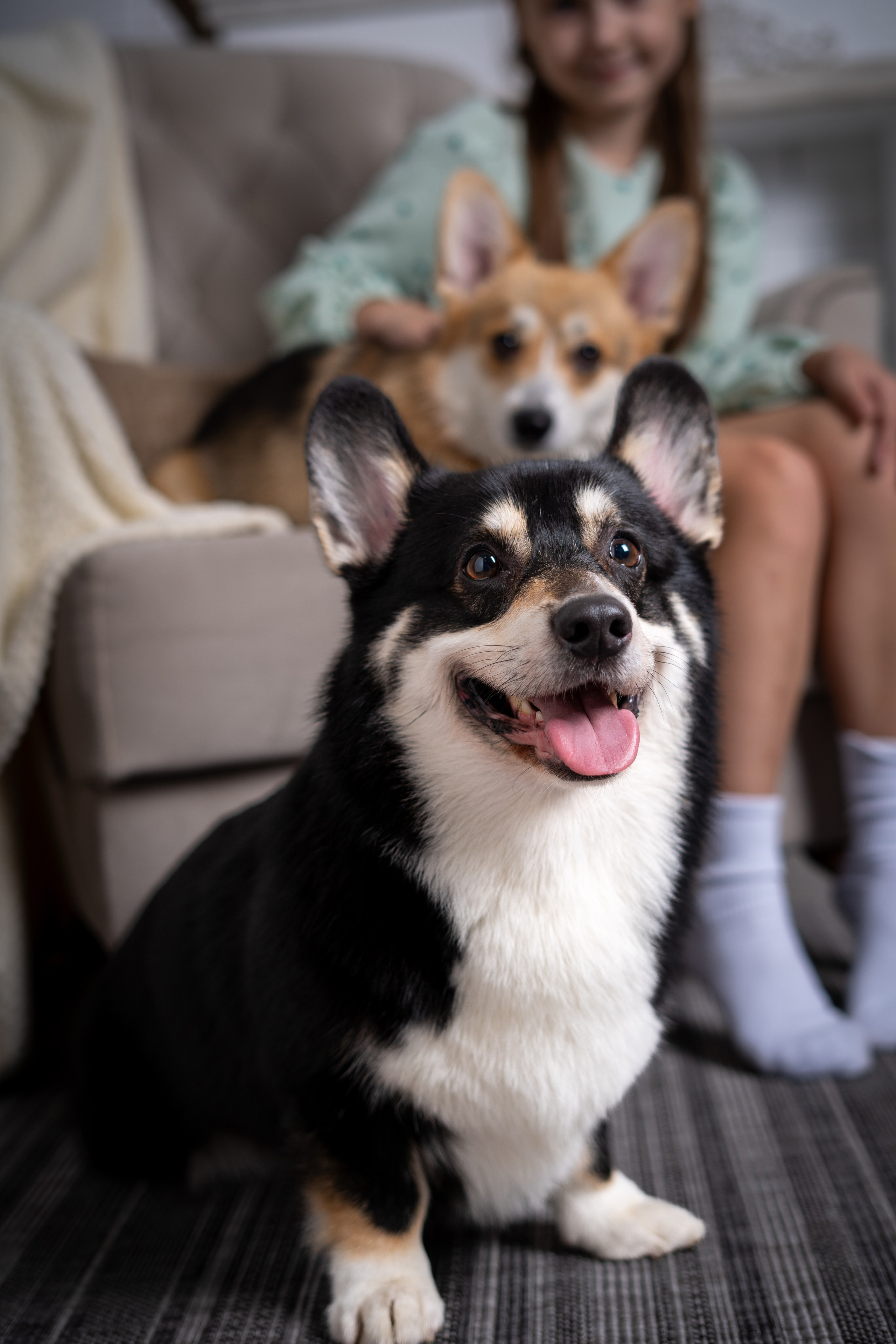 Фото Детки. Видеограф и Фотограф в Красноярске