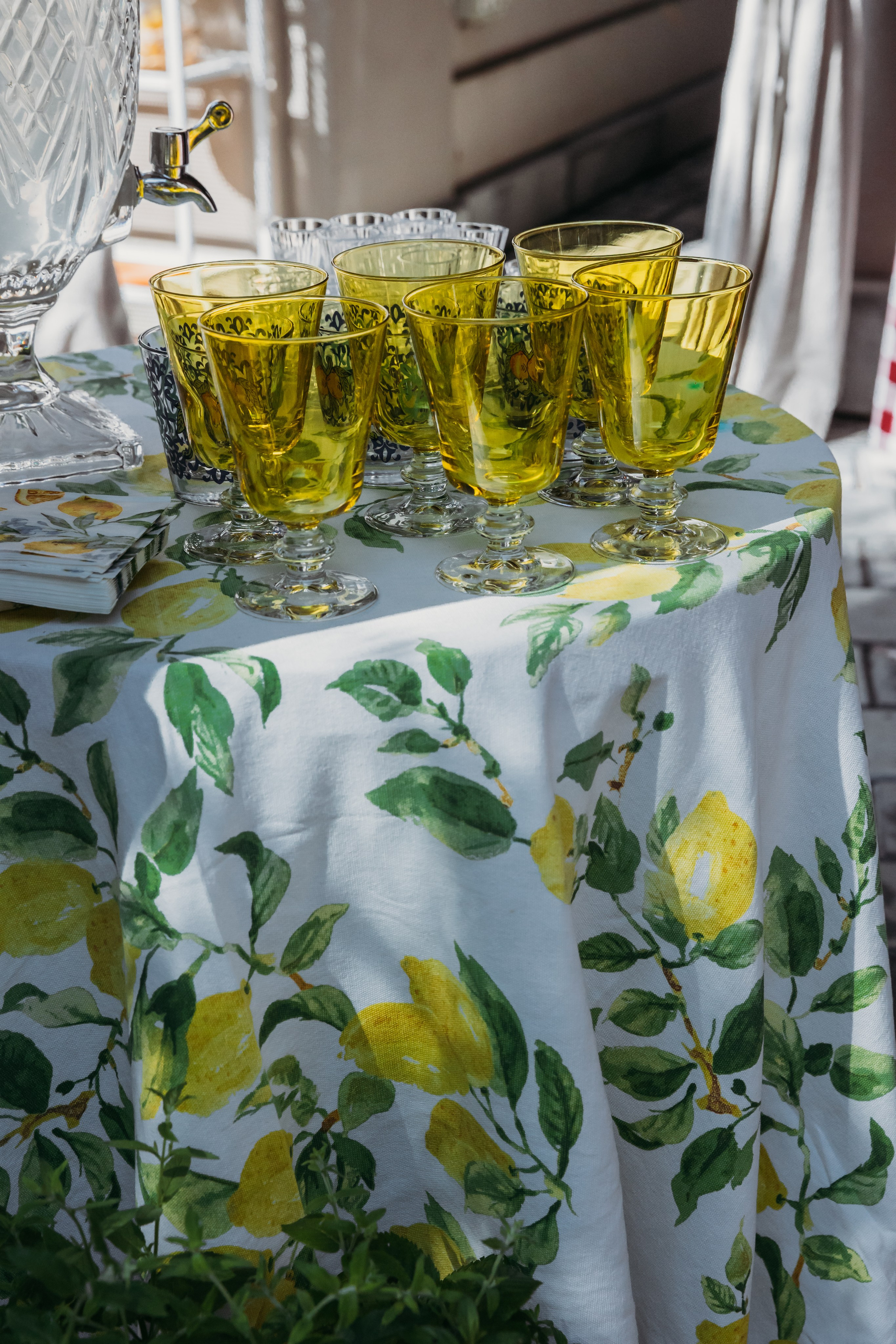 Родные люди «Итальянский день». Леся Гаранина. Семейный фотограф/видеограф Москва и область