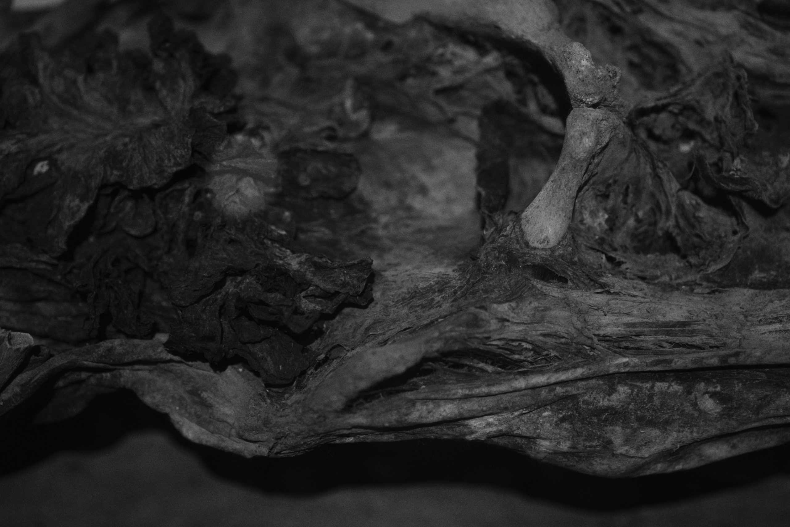 Archaeological Museum / Istanbul, Türkey SS25. Фотограф Юрин Евгений