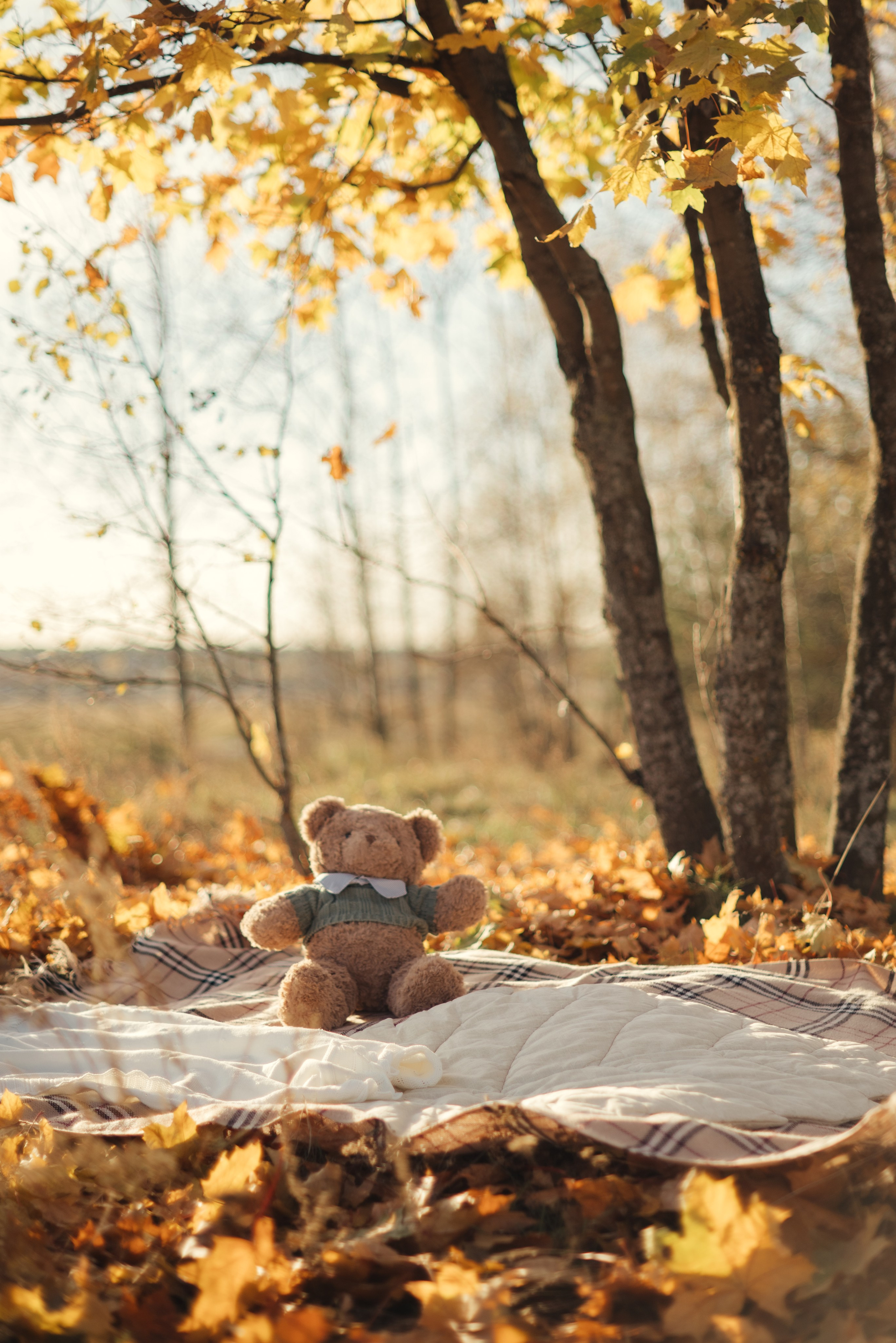 Мамочки осенью. Семейный и детский фотограф в Щелково Алена Дробот