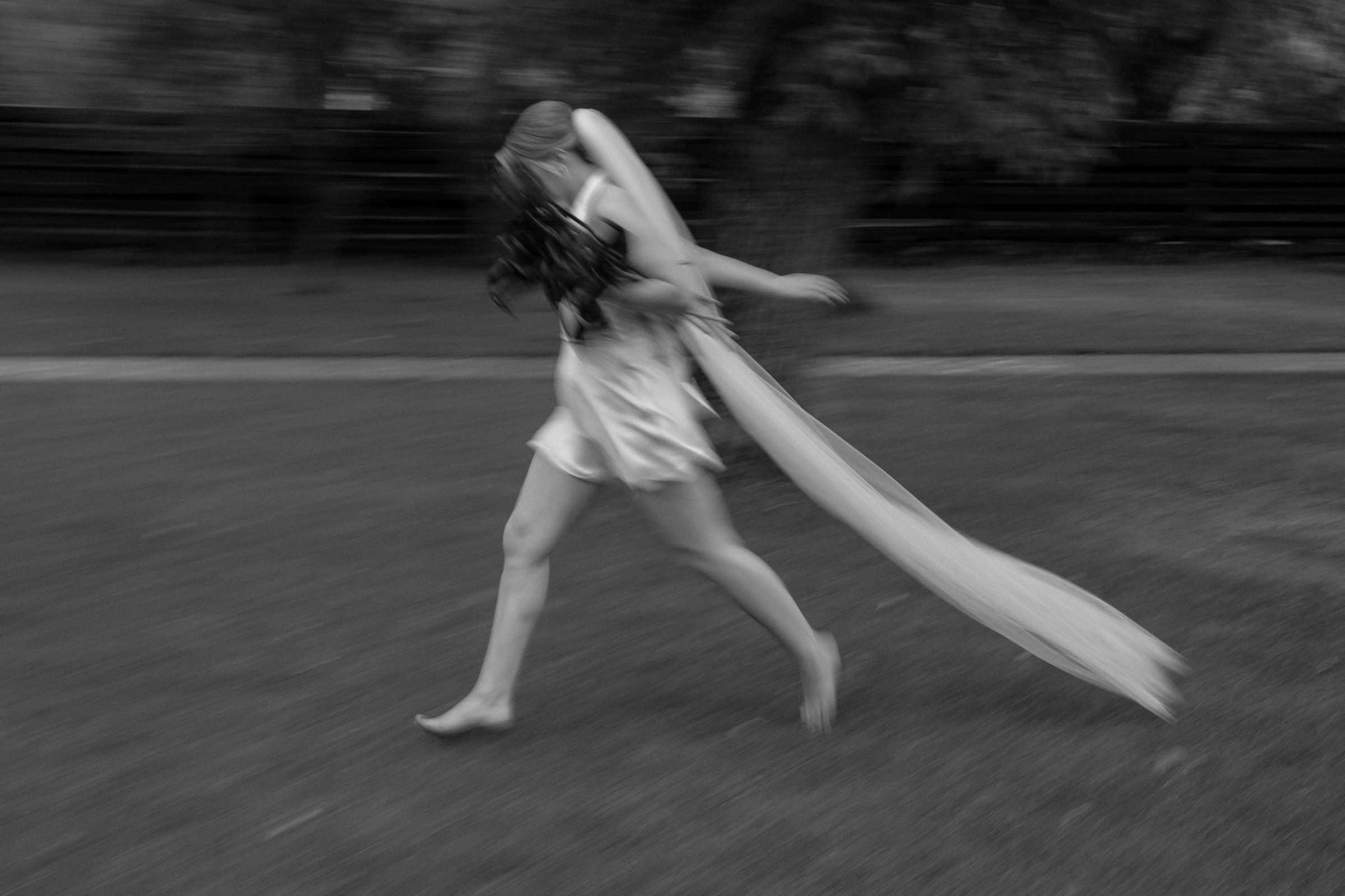 Свадьба пес и котики. Dima Lemeshevsky