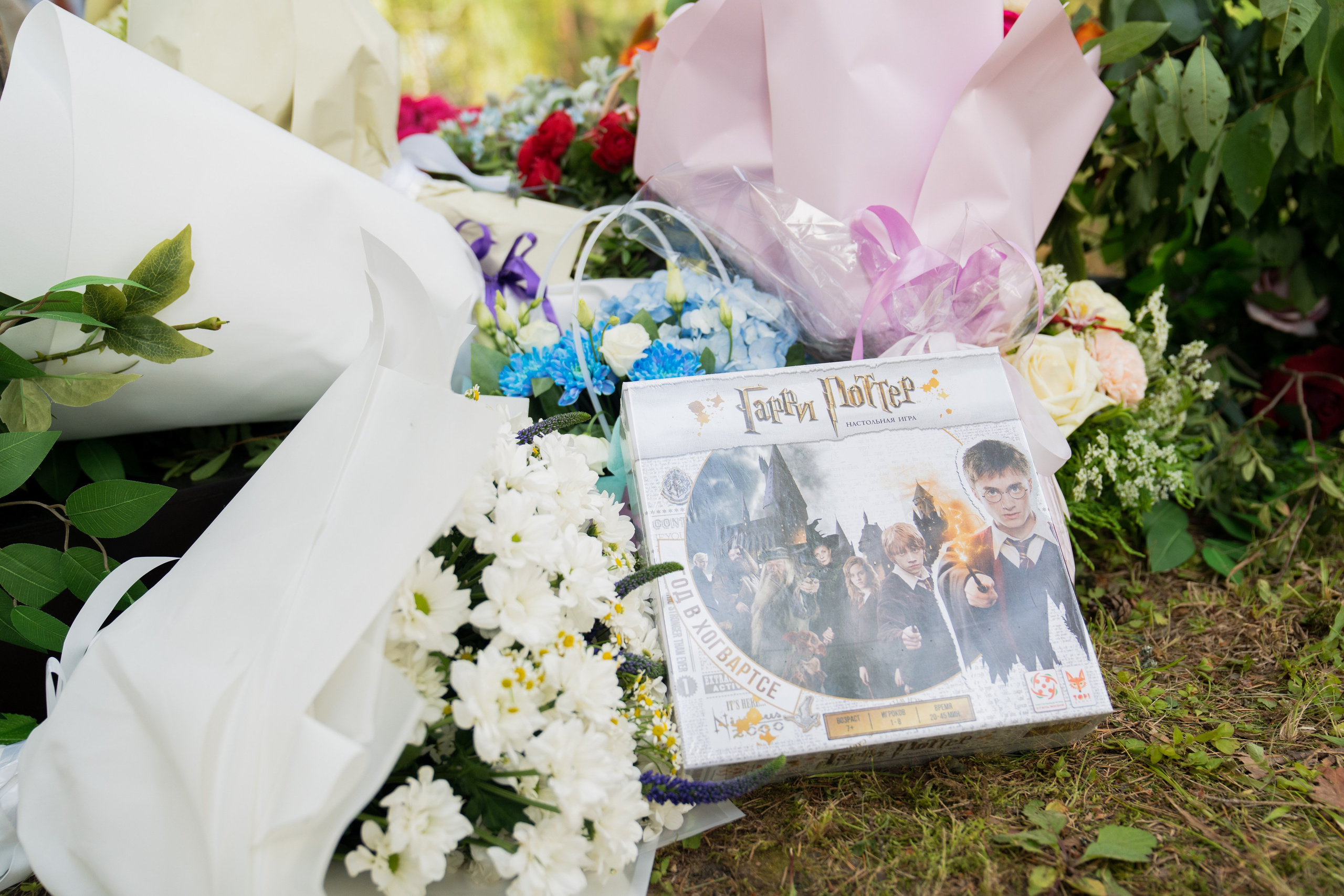 Даниил и Алина. Photography&Video