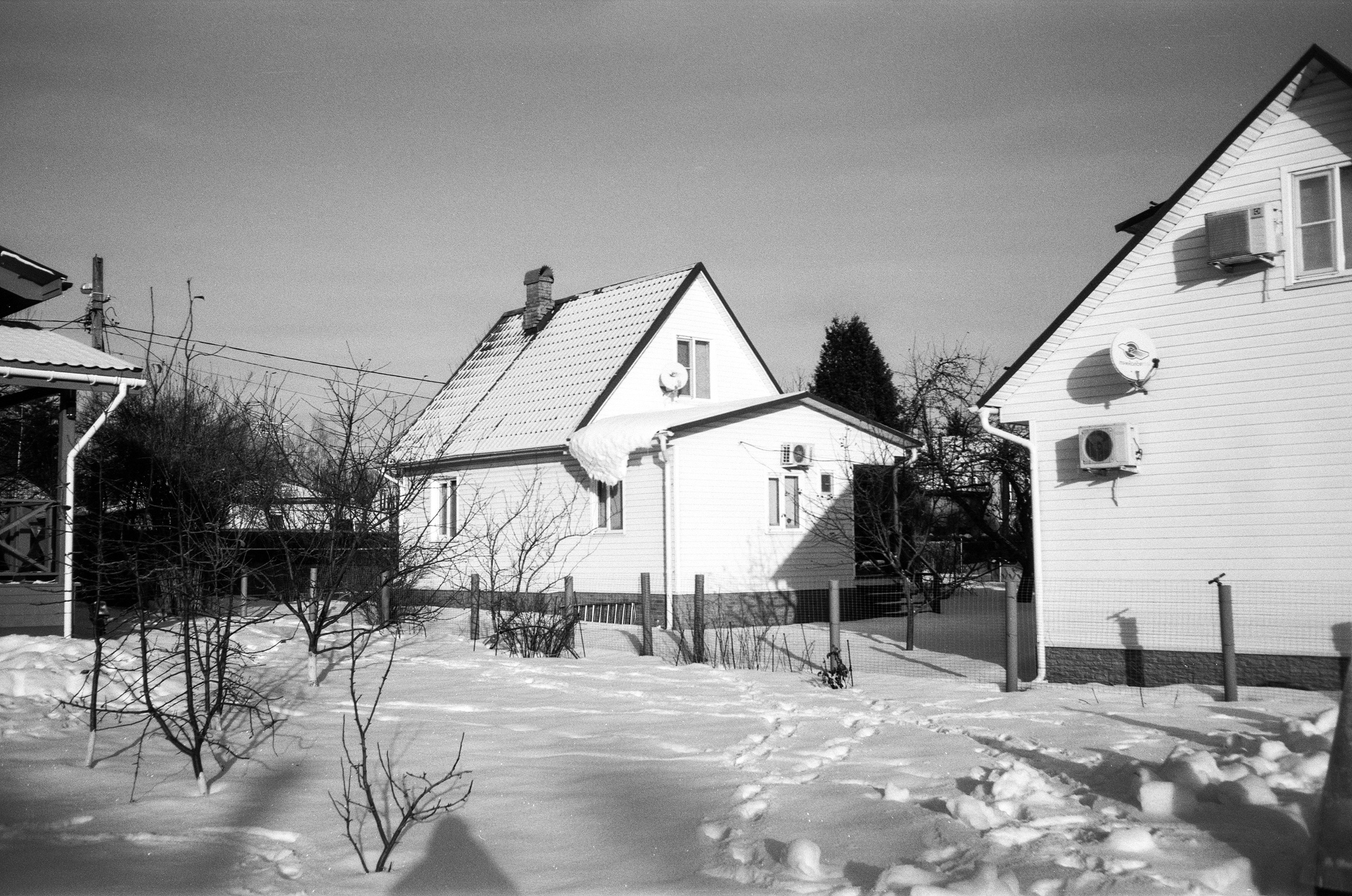 Minox 35GT / Тасма Т-25 ISO 100 / Давыдовское, Лукино