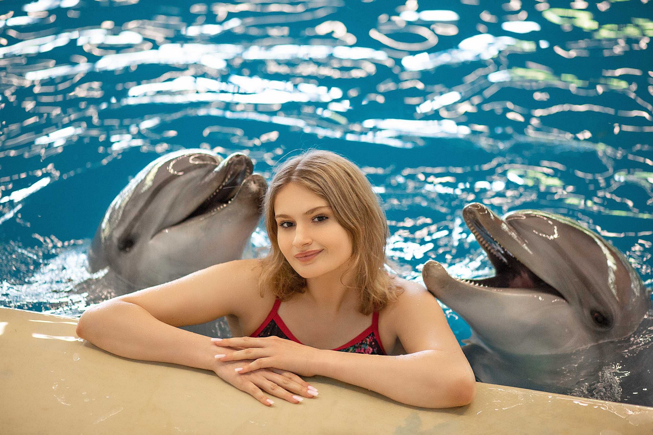 Фотосессия с дельфинами. Фотосессия с лошадьми в Нижнем Новгороде