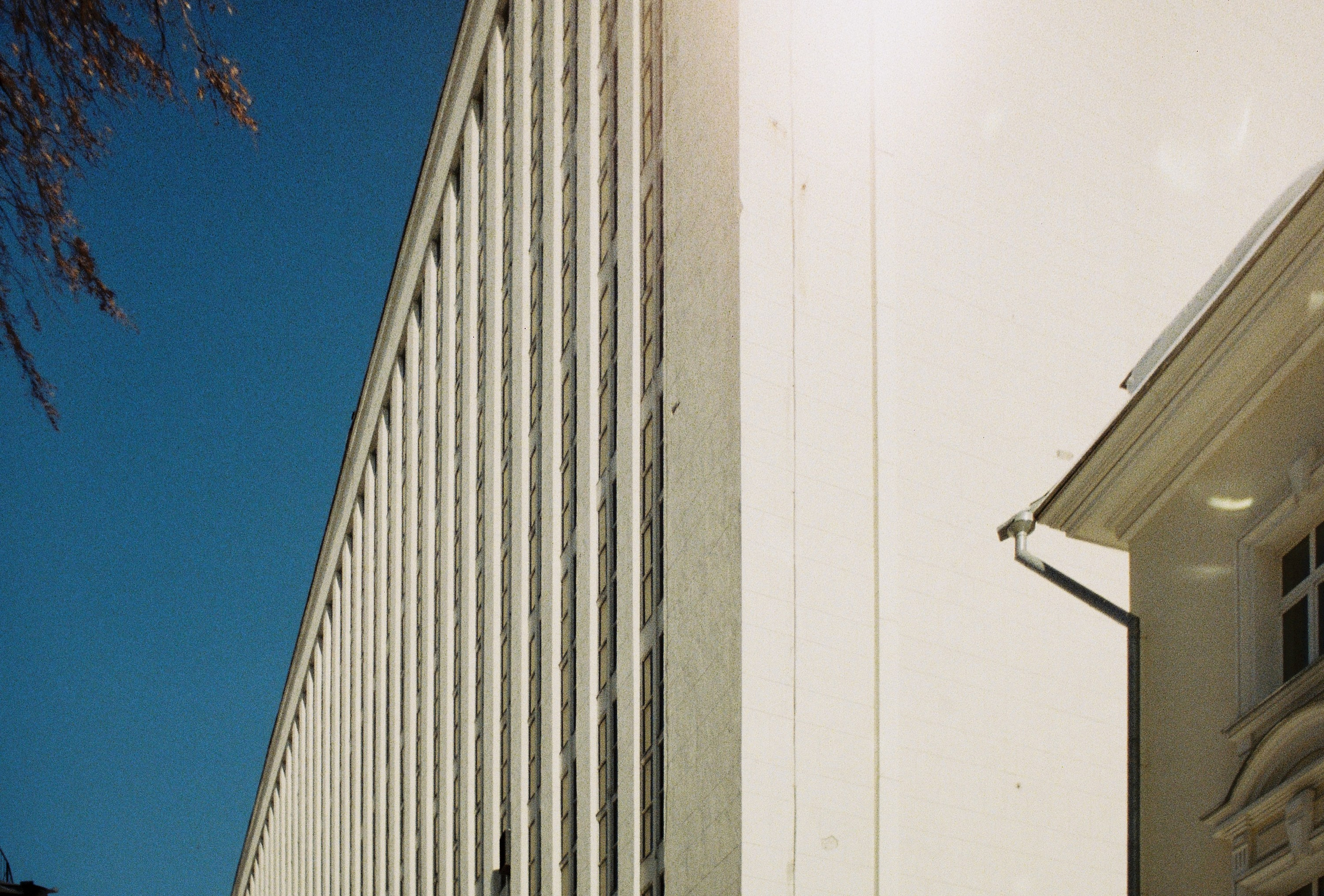 Пленочная фотография в Москве