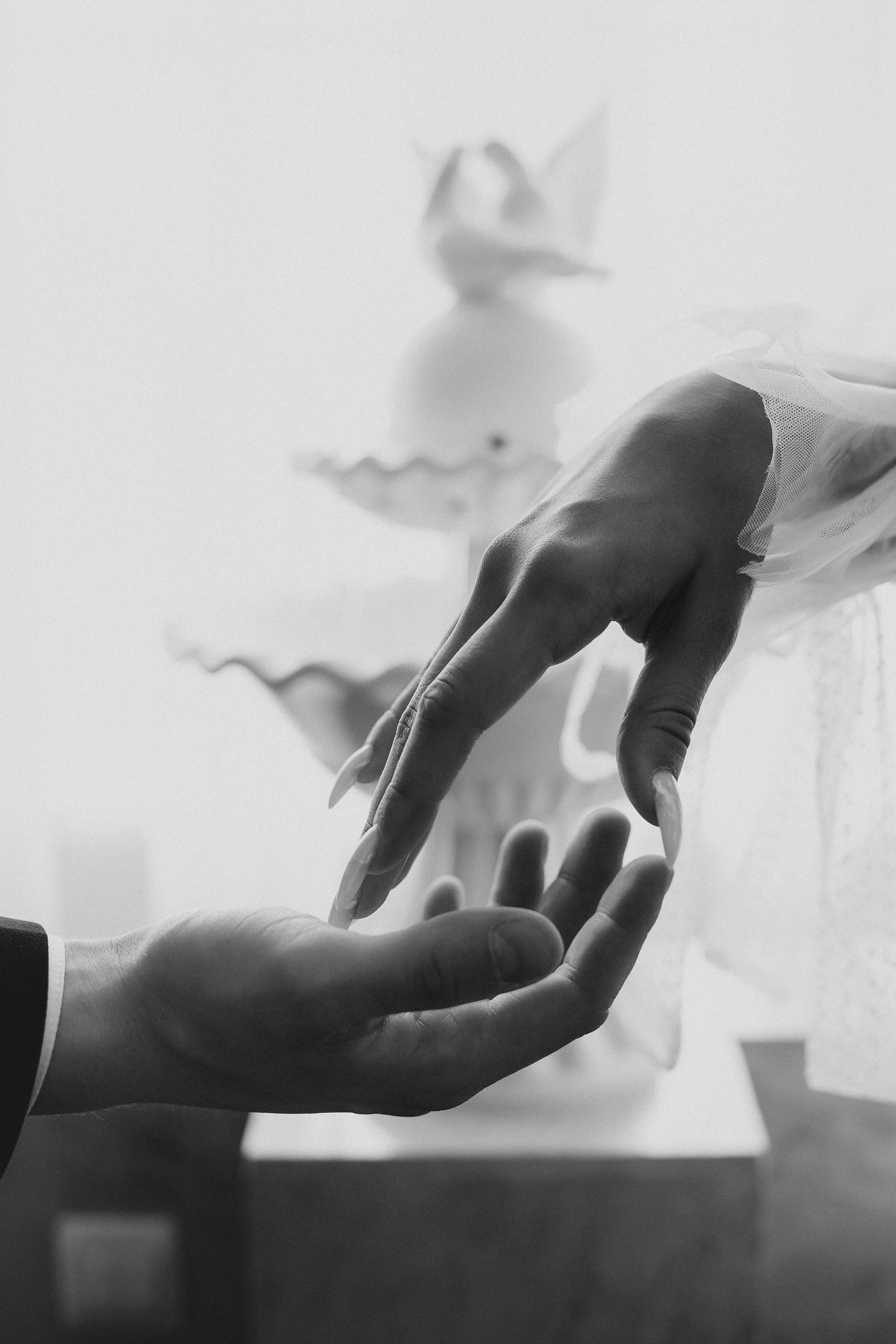 Дарья & Даниил. Анна Михайлова|Свадебный фотограф в Санкт-Петербурге