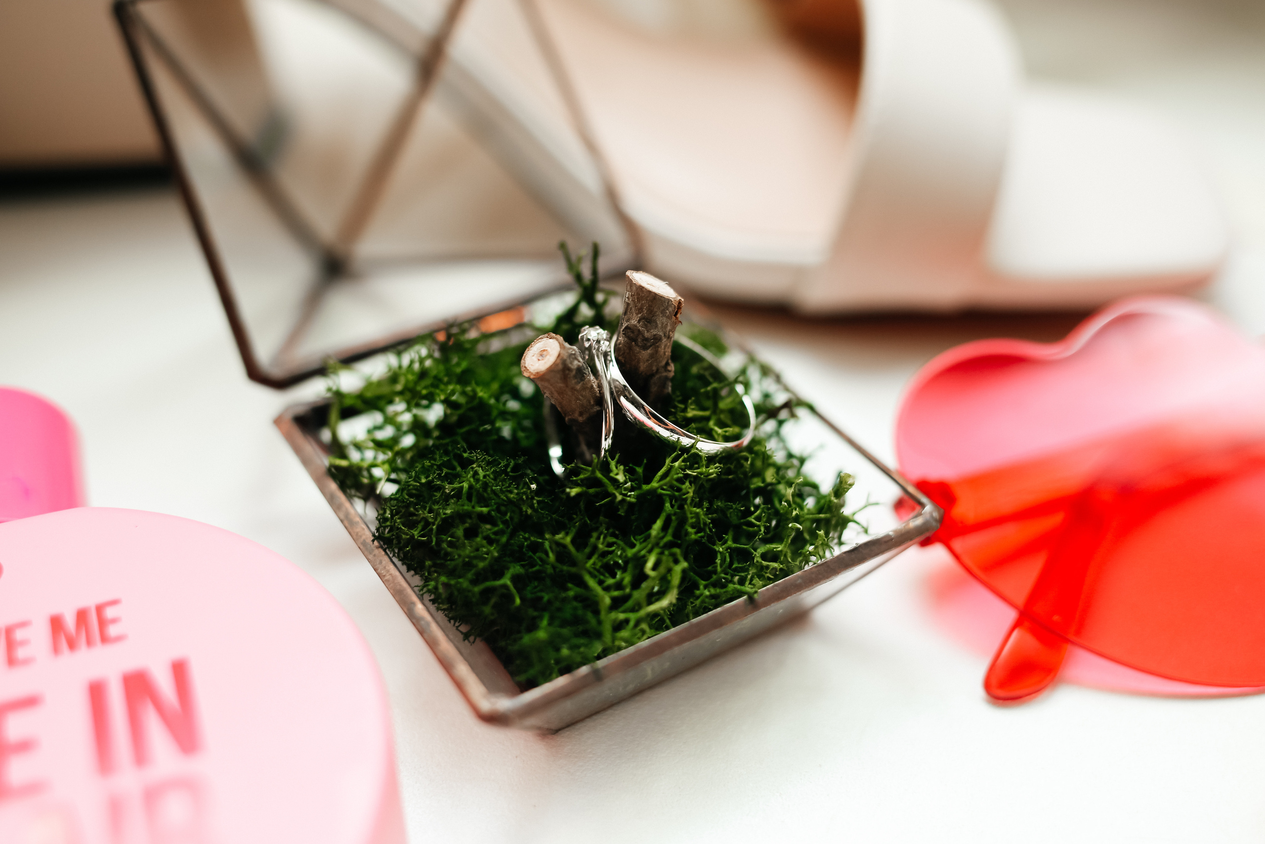 Дарья & Даниил. Анна Михайлова|Свадебный фотограф в Санкт-Петербурге