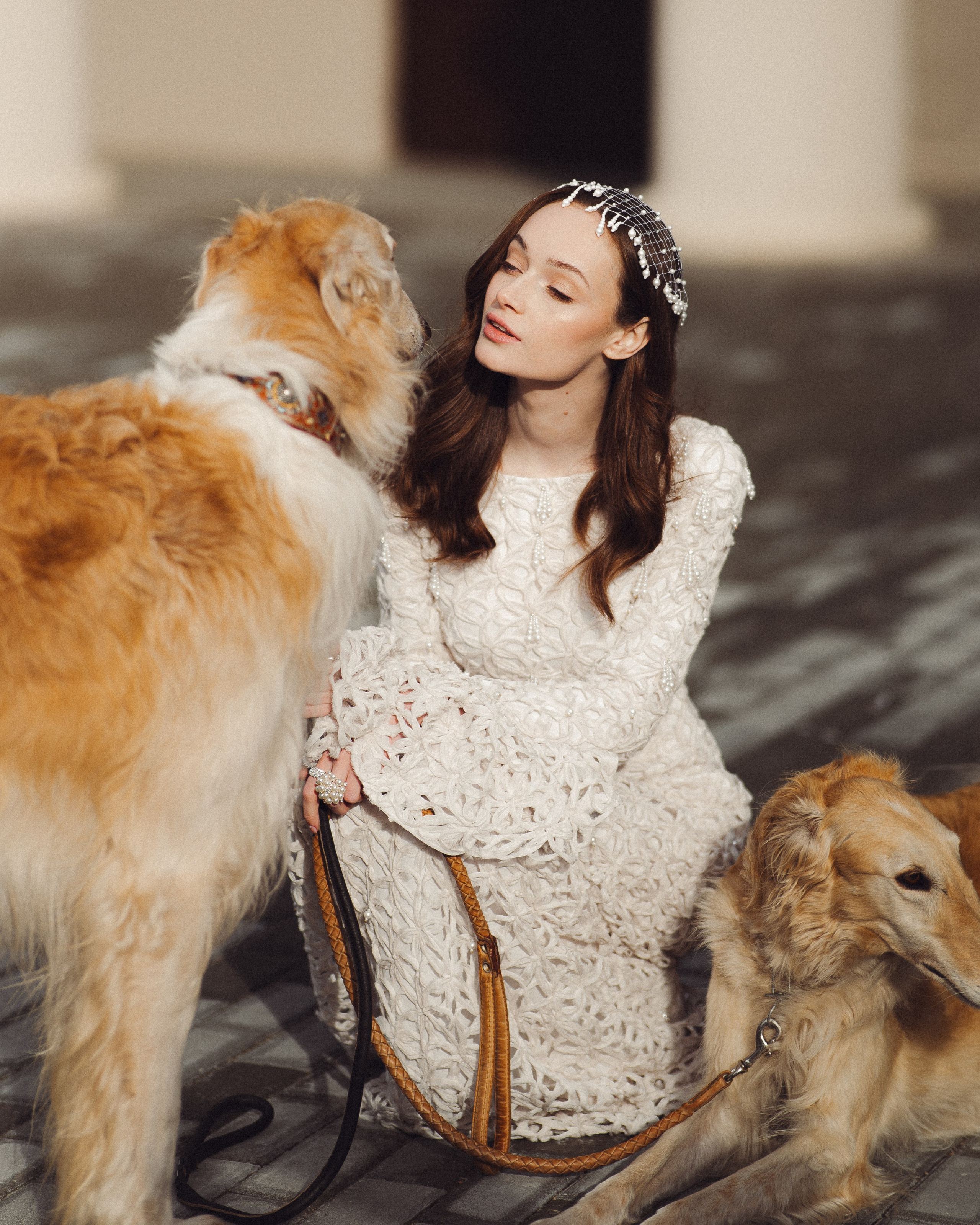 Свадебная история во дворце культуры с собаками