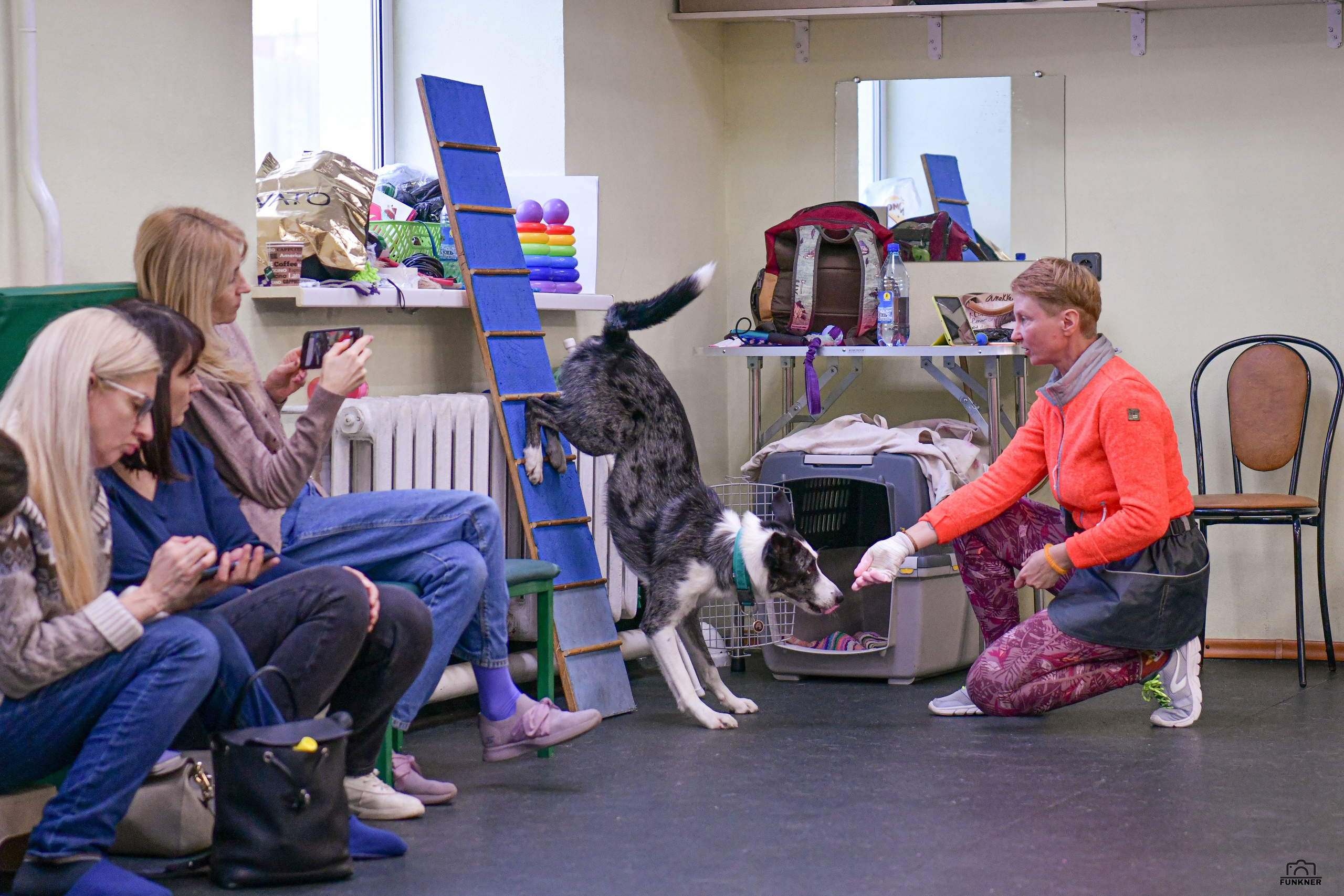 Кинологический клуб «Бодрый хвост». Свой взгляд через объектив