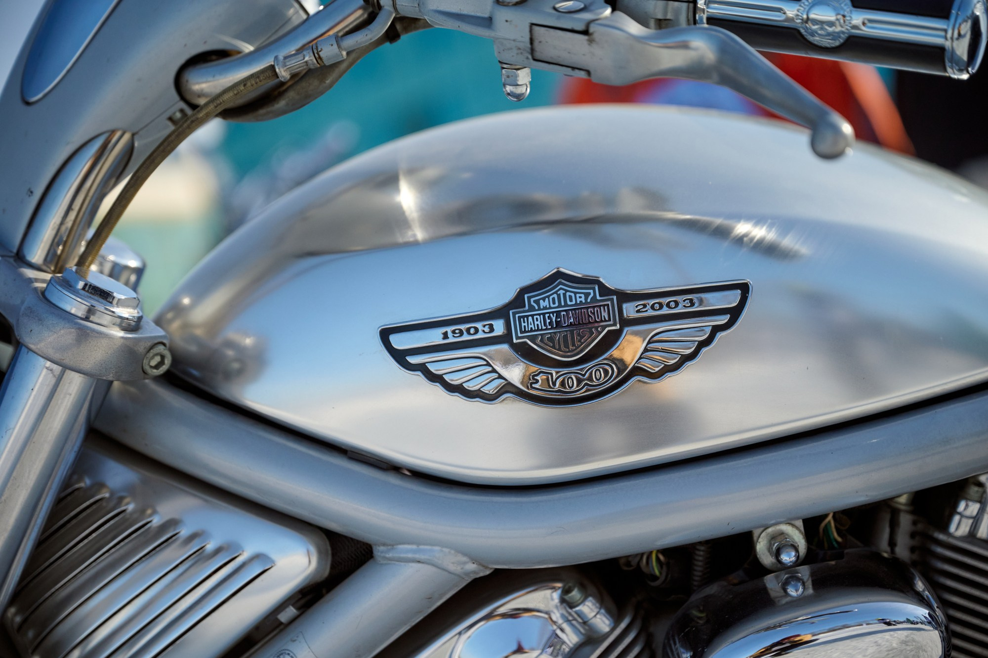 H.O.G. Winter Challenge 2024. Мезенцев Евгений фотограф