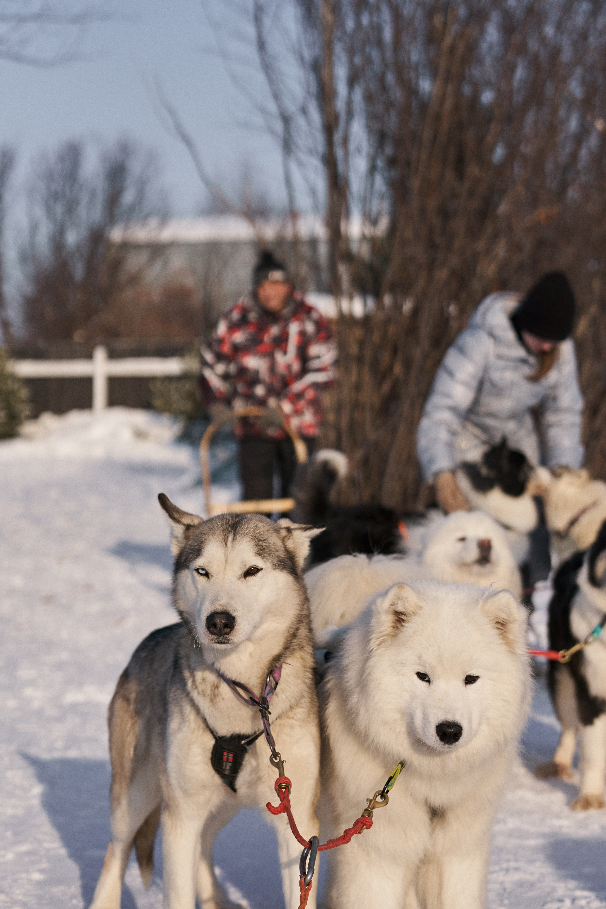 Фотосессии с девушками. Станислав Полупанов — Фотосессия Томск