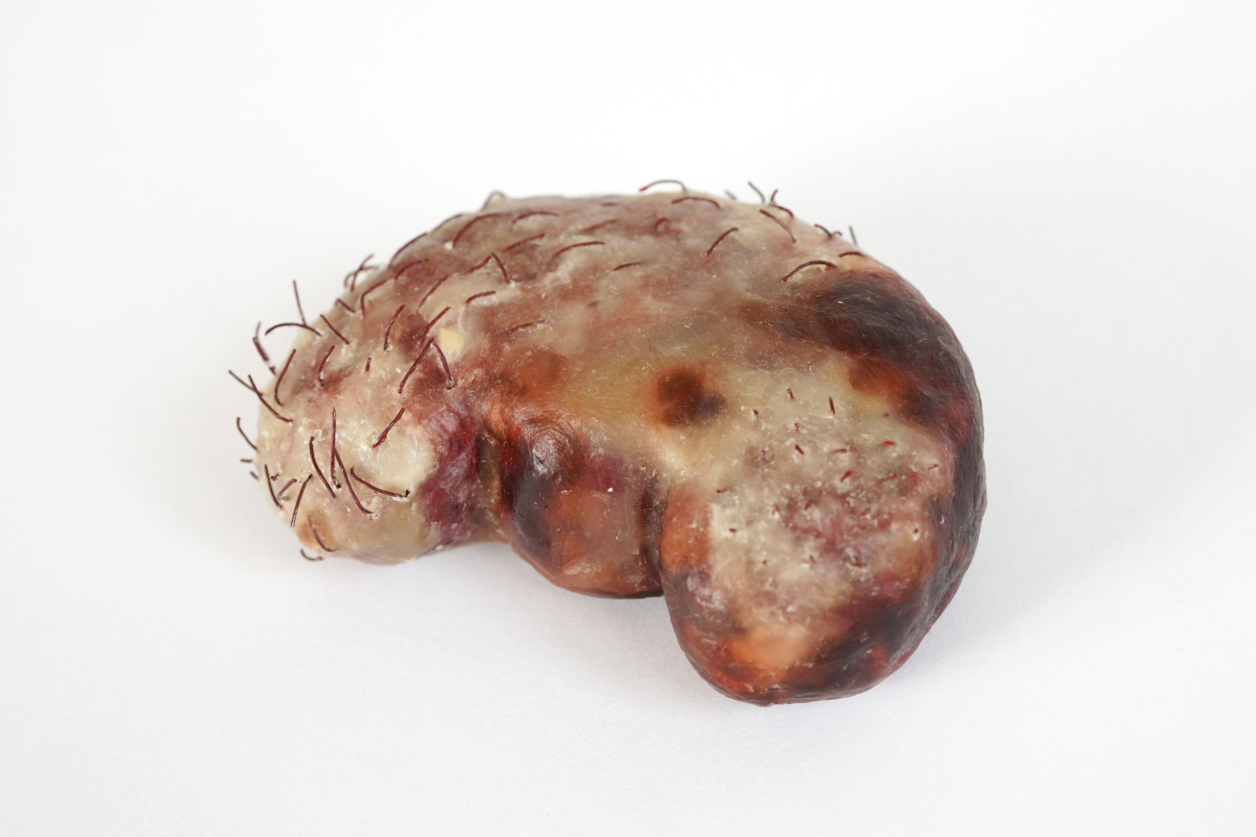 Орган № 32.1. 2022. Пчелиный воск, проволока, пеноплекс. 12смх8см