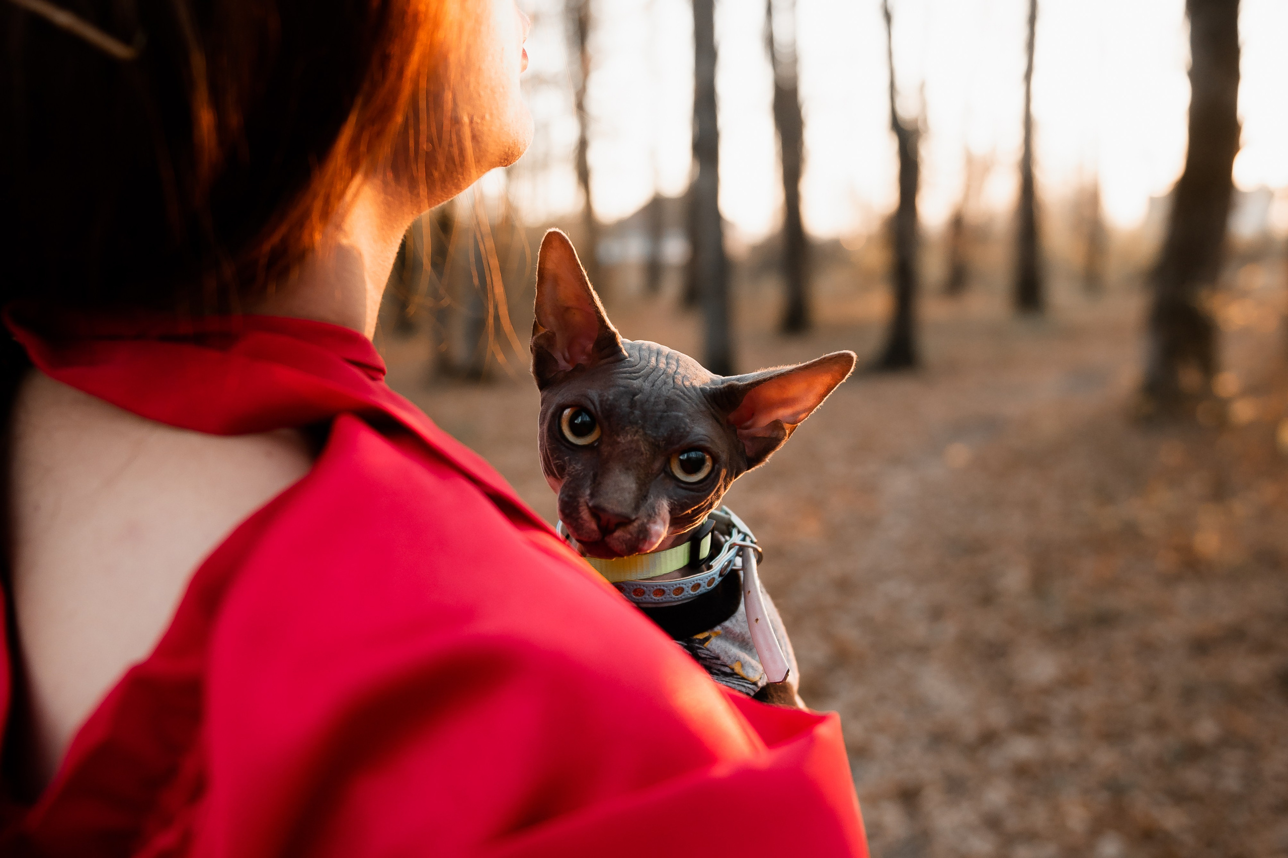 Фотосессия в горячем ключе к хеллоуину. Свадебный фотограф в Горячем Ключе Смирнова Дина