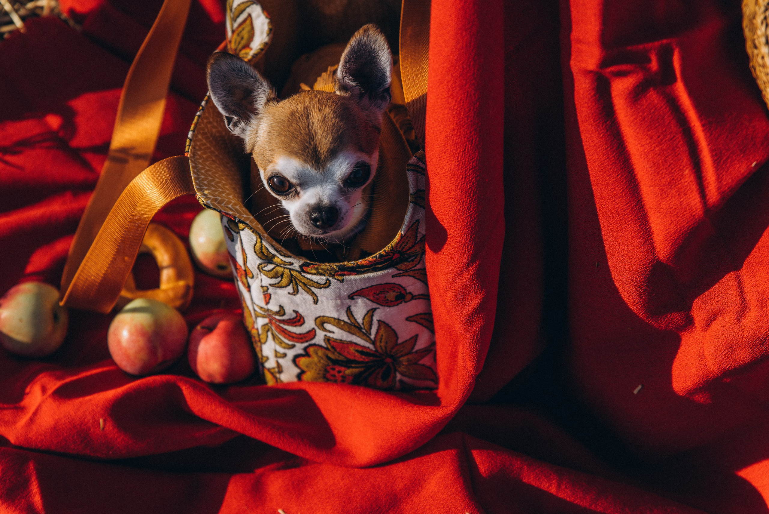 ЛЕНА. Ольга Козлова фотограф Волгоград olkiny-fotki.ru