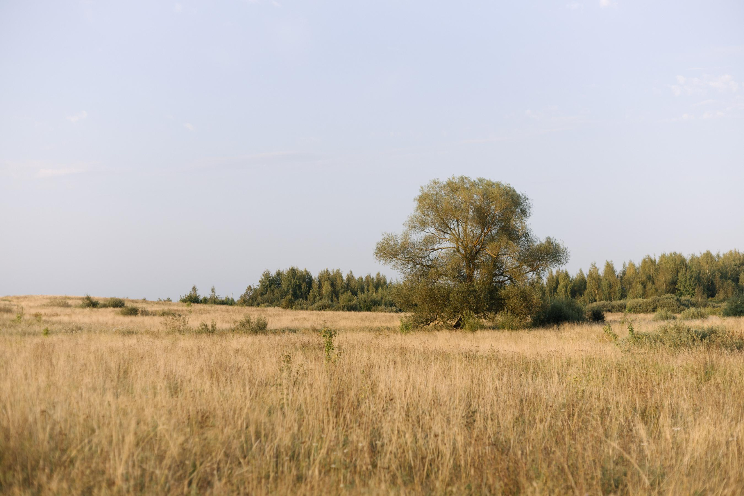Галя и ее детка. Фотограф Вышний Волочек/Тверь/Москва/Санкт-Петербург