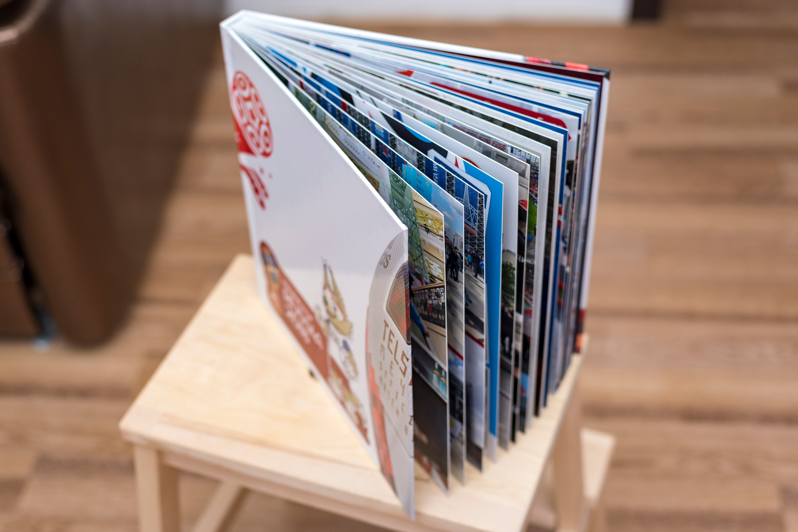 ЧМ 2018. Детский фотограф в Екатеринбурге и Берёзовском Евгений Кондаков