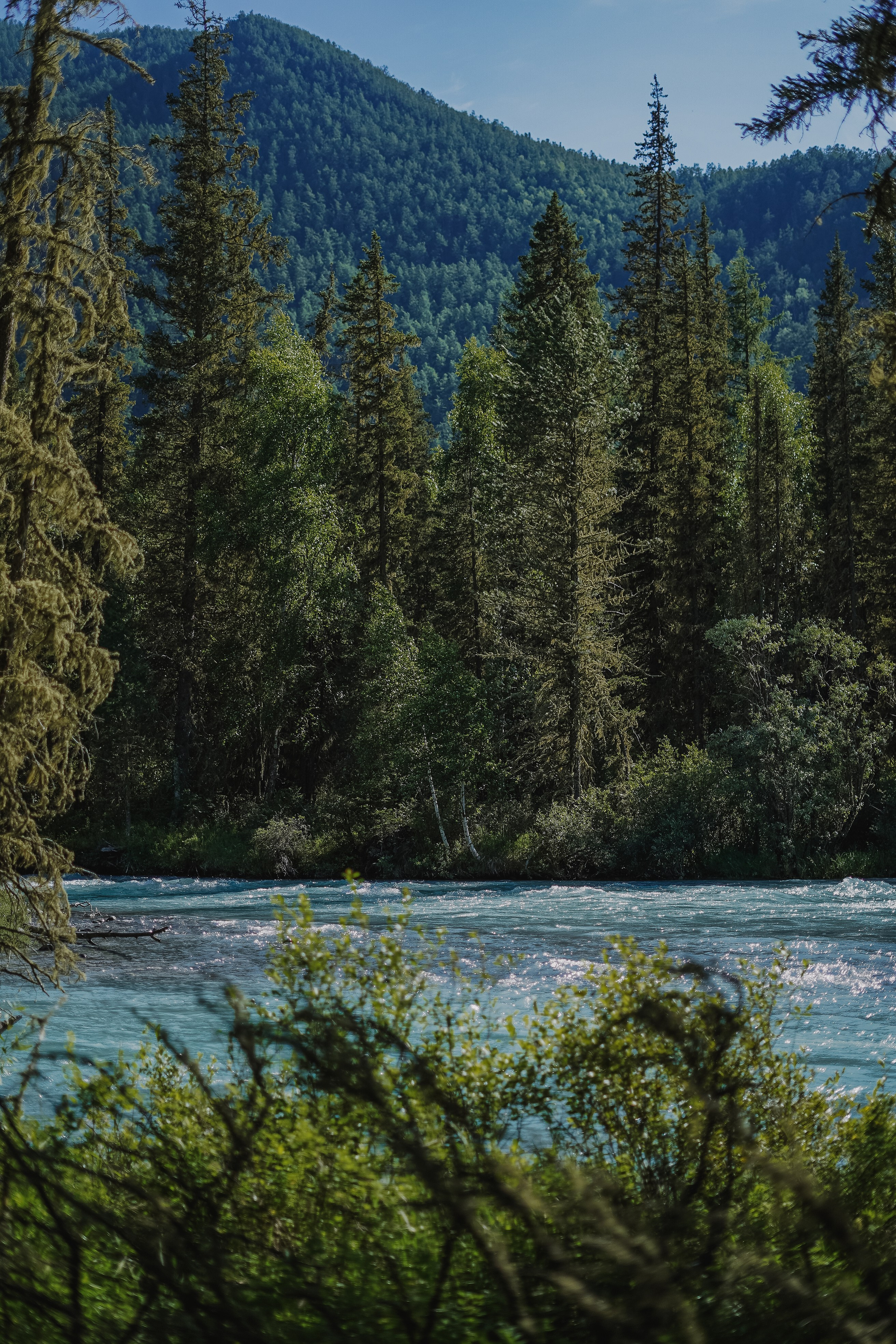 Алтай, поход к Белухе 2023. Фотограф Ольга Пучкова