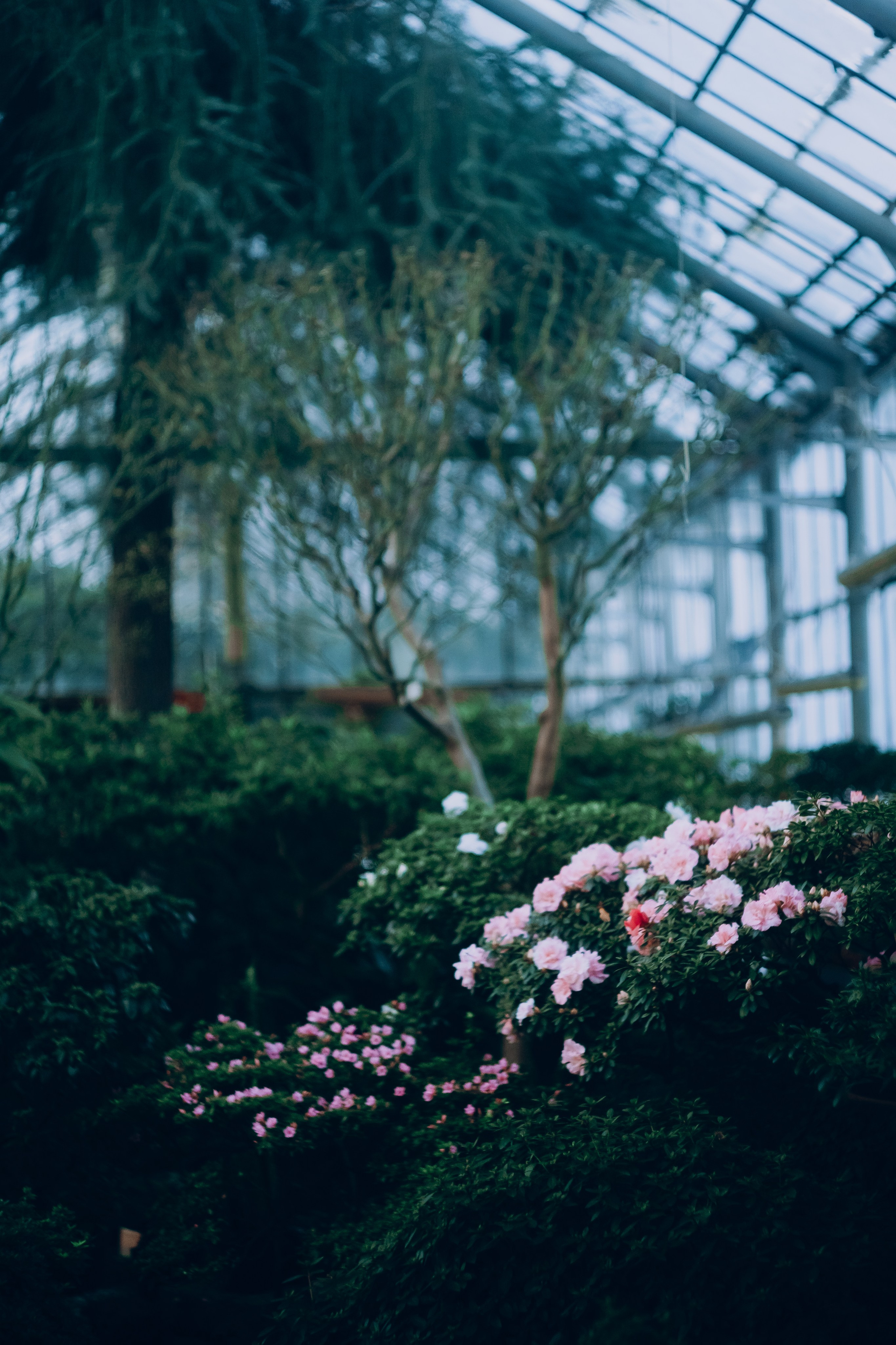 Botanical. Портретный и свадебный фотограф в Москве и Санкт-Петербурге. Учитель фотографии онлайн и оффлайн