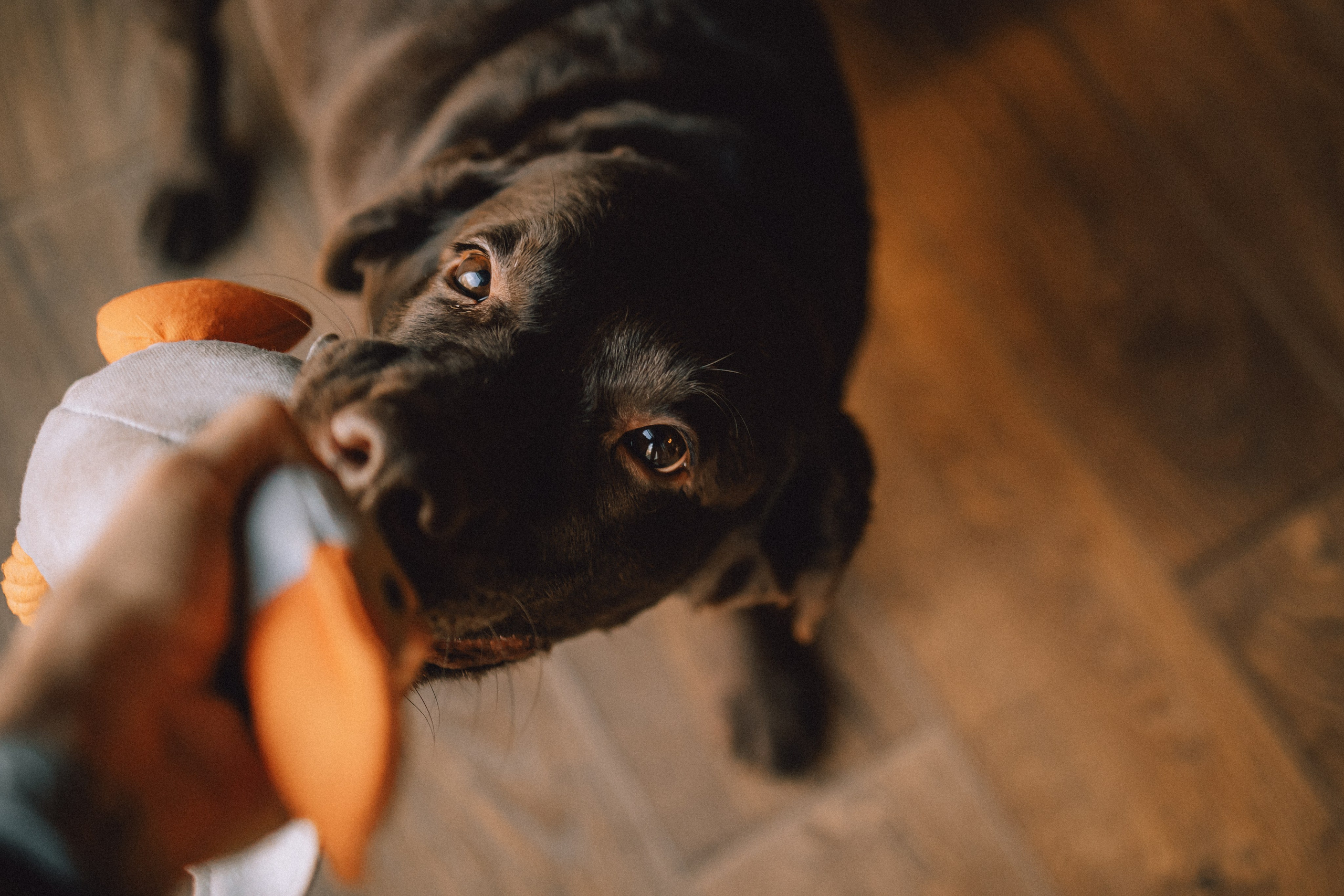 Ума, Берта и их семья