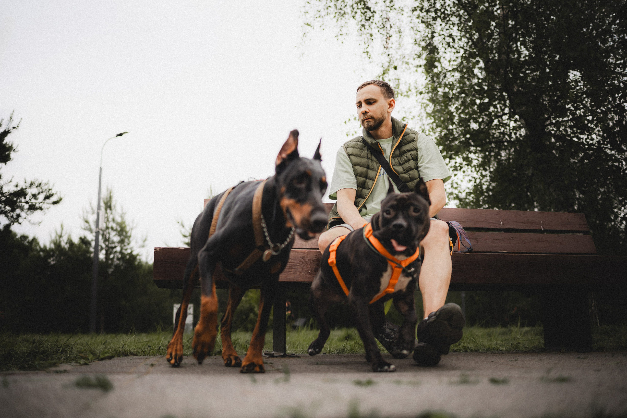 Паша, Хайди и Тея