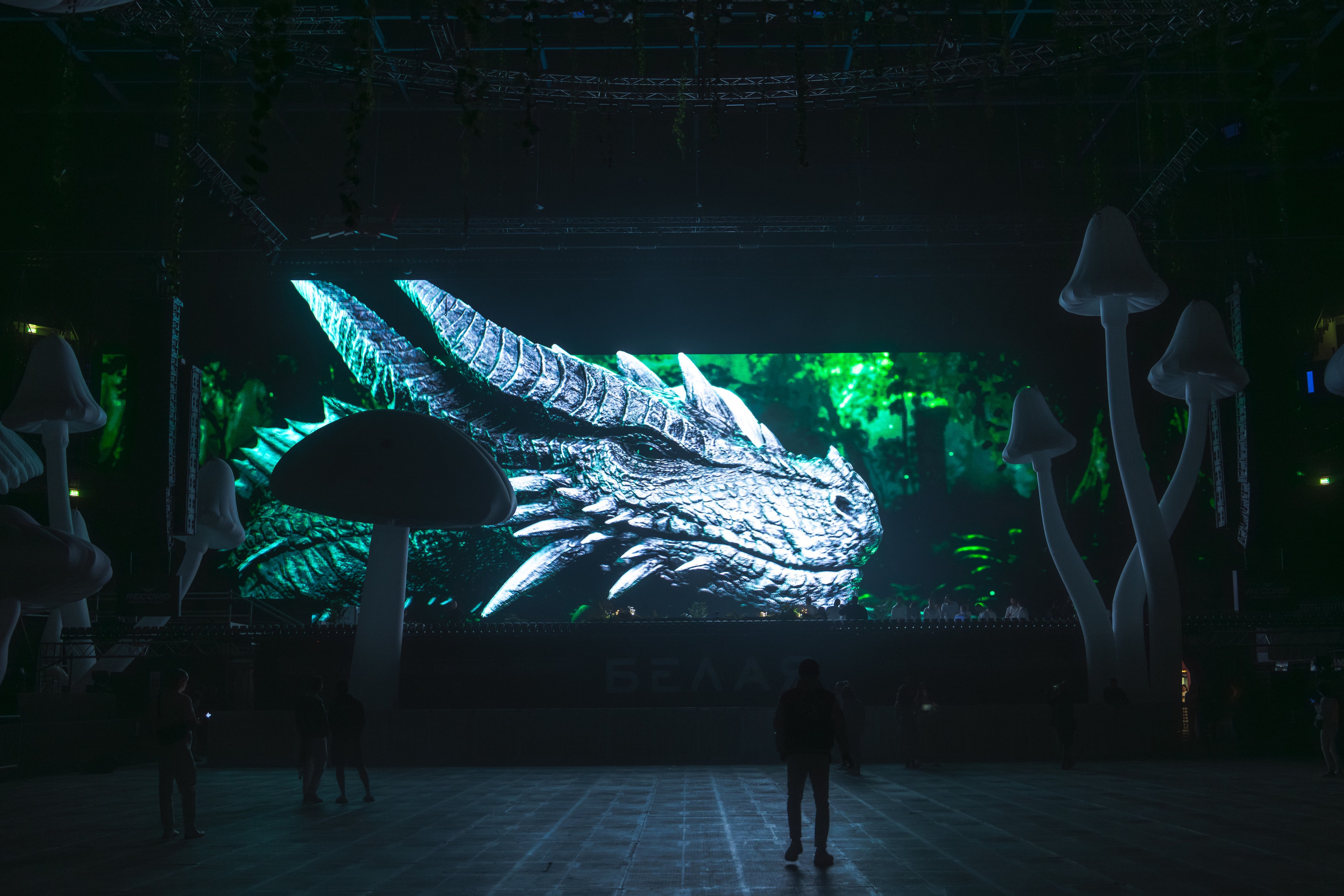 БЕЛАЯ 2025. Святослав Буньков | фотограф