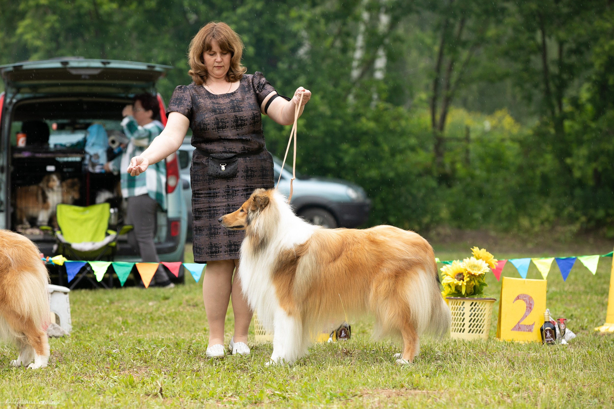 Фотосопровождение выставки собак в Московской области и Москве. Фотограф-анималист в Москве и Московской области Татьяна Фролова