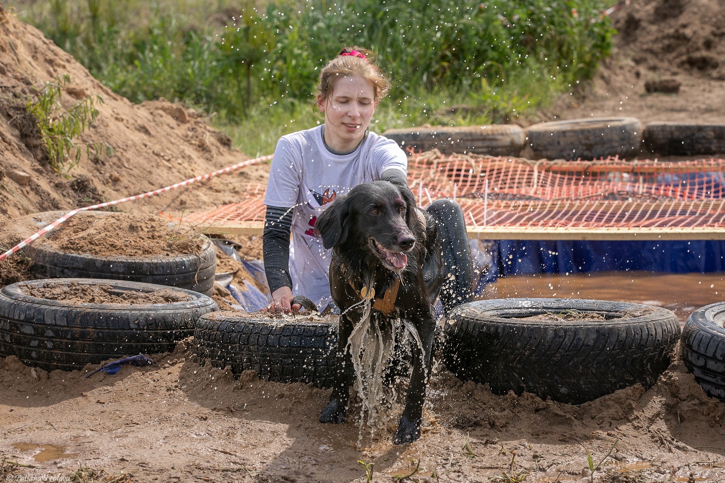 Фоторепортаж с забега с собаками. Фотограф-анималист в Москве и Московской области Татьяна Фролова