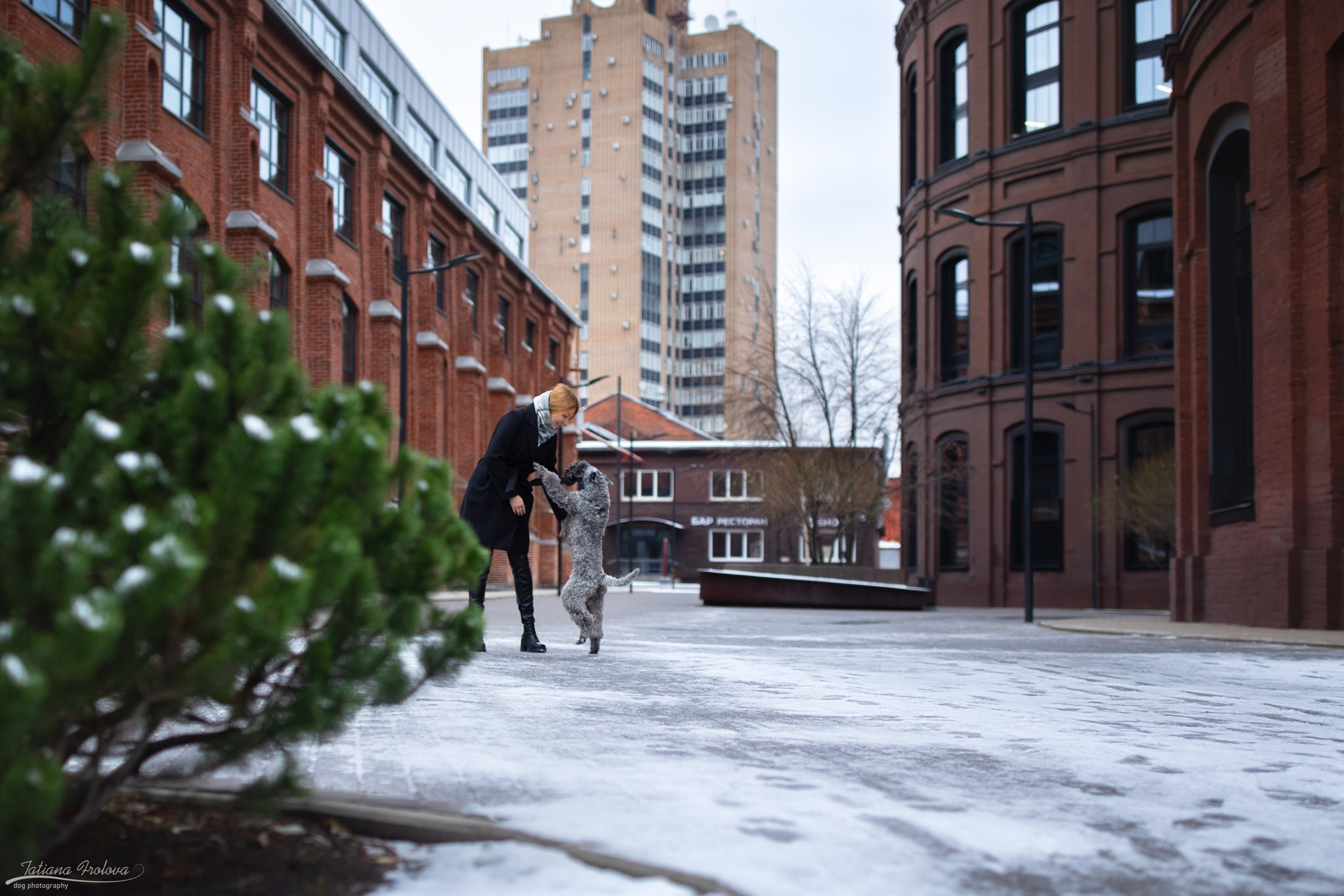 Городская съемка в стиле лайфстайл. Фотограф-анималист в Москве и Московской области Татьяна Фролова