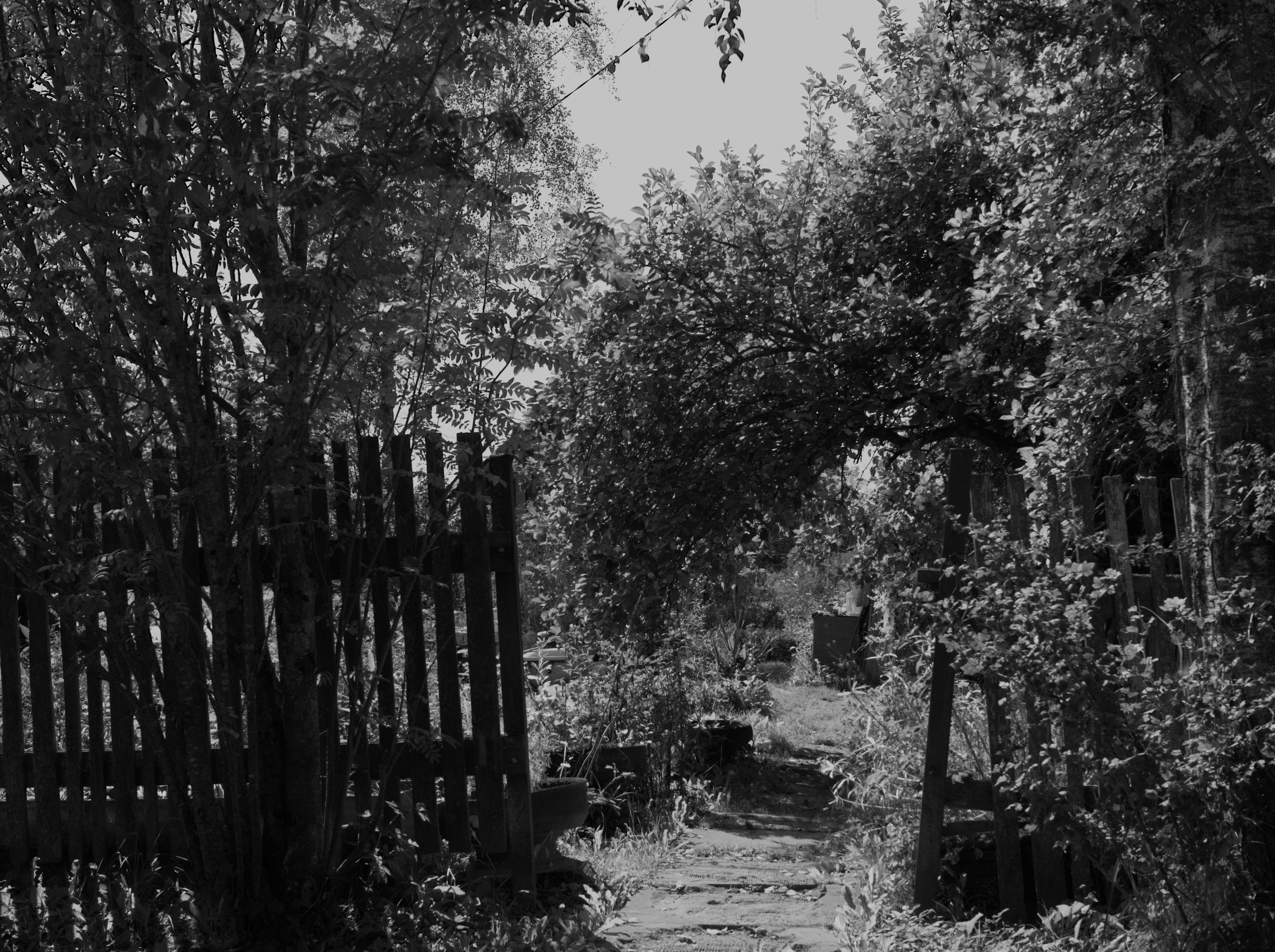 КНЯЖЬИ ГОРЫ И ПОГОРЕЛОЕ ГОРОДИЩЕ