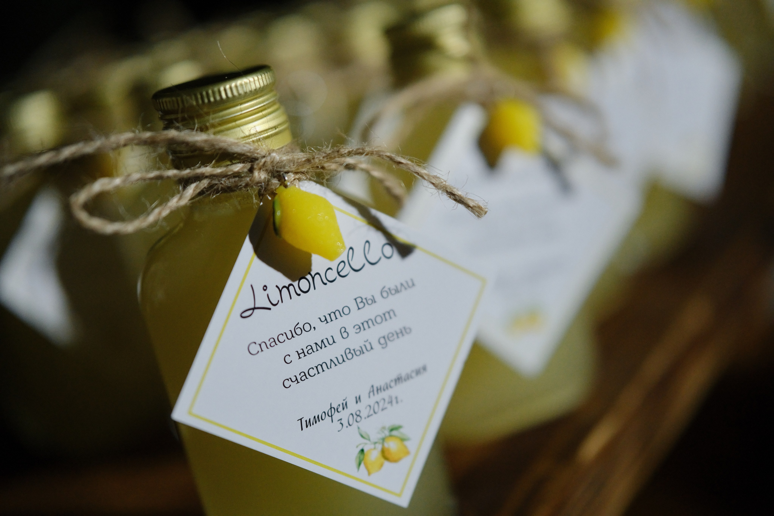 Тимофей и Анастасия. Фотограф Елена Маринина Москва