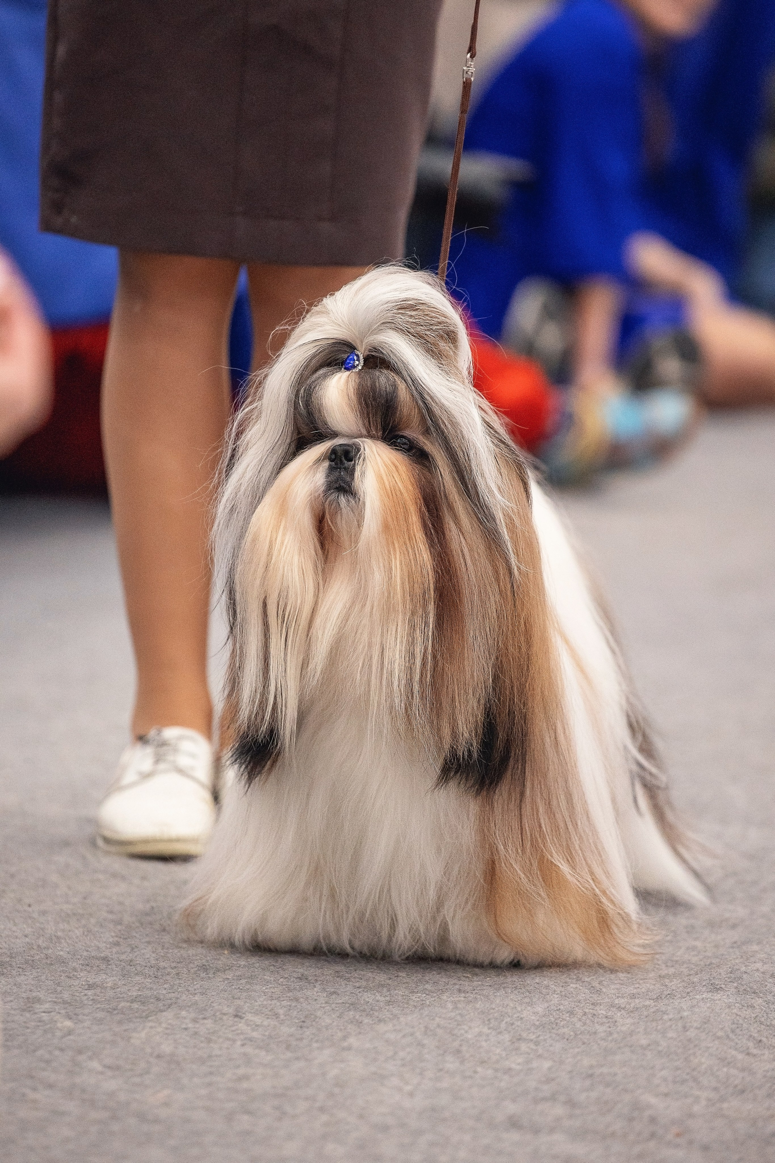 20.01. 2024 Тюмень. YULA KOLESOVA | Фотограф — Анималист | Художник | Тюмень