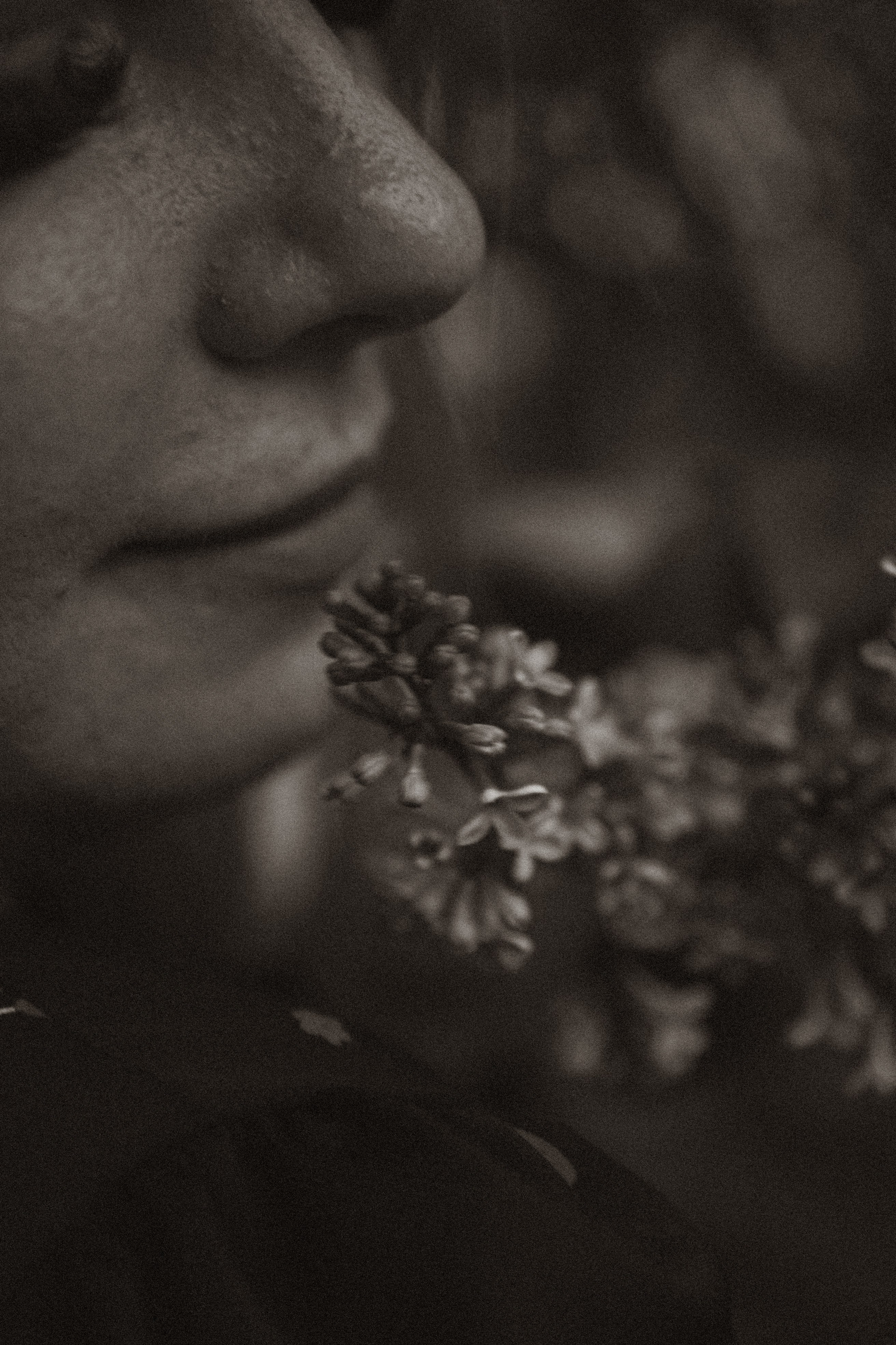 ПРОГУЛКА ВЕСНОЙ. Профессиональный фотограф, Санкт-Петербург — Виктория Богомолова