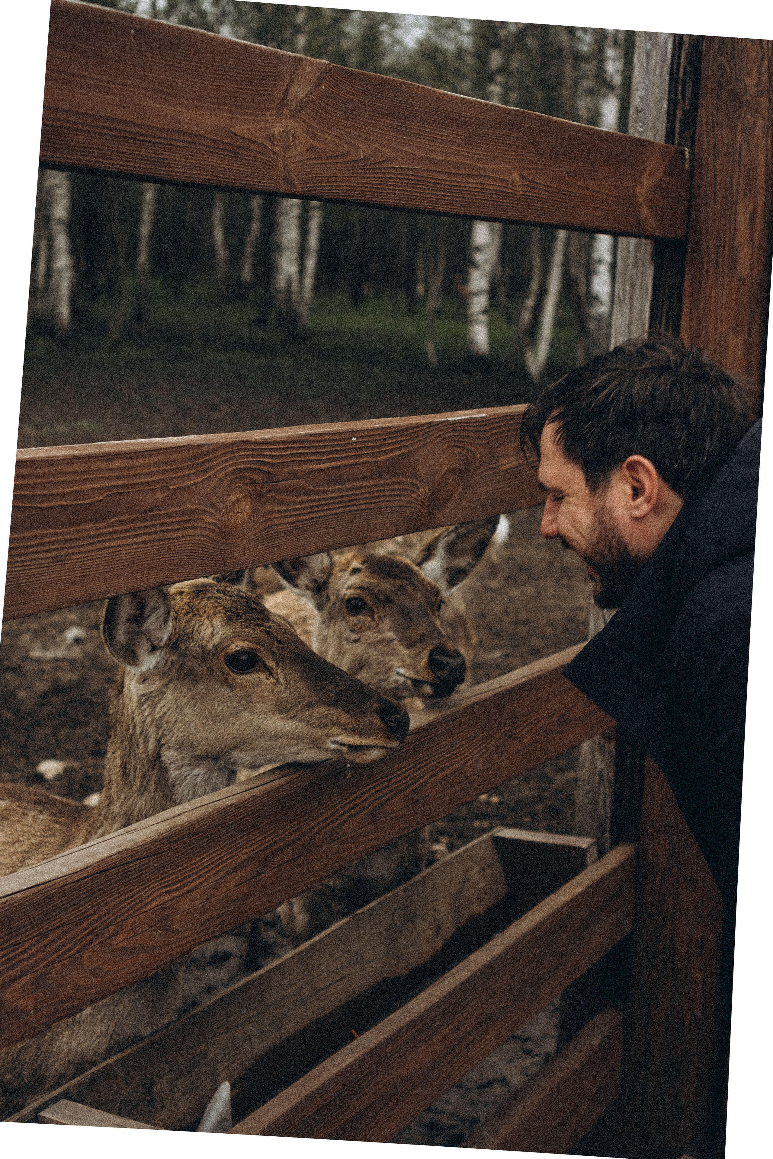 ОЛЕНЬЯ ФЕРМА В ТВЕРИ. Профессиональный фотограф, Санкт-Петербург — Виктория Богомолова