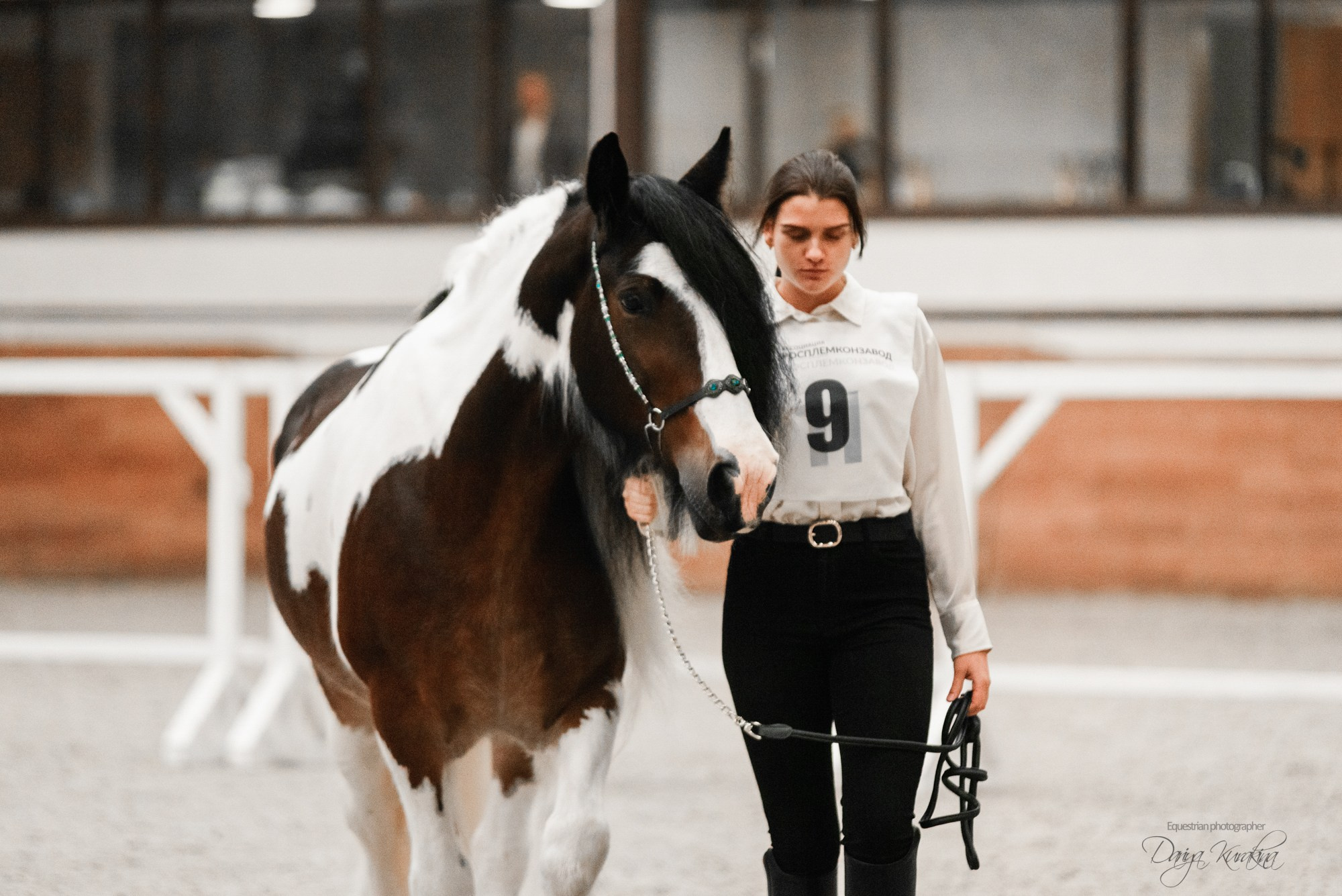 8-я международная выставка Конная Россия. Конный фотограф Куракина Дарья • Фотосессии с лошадьми