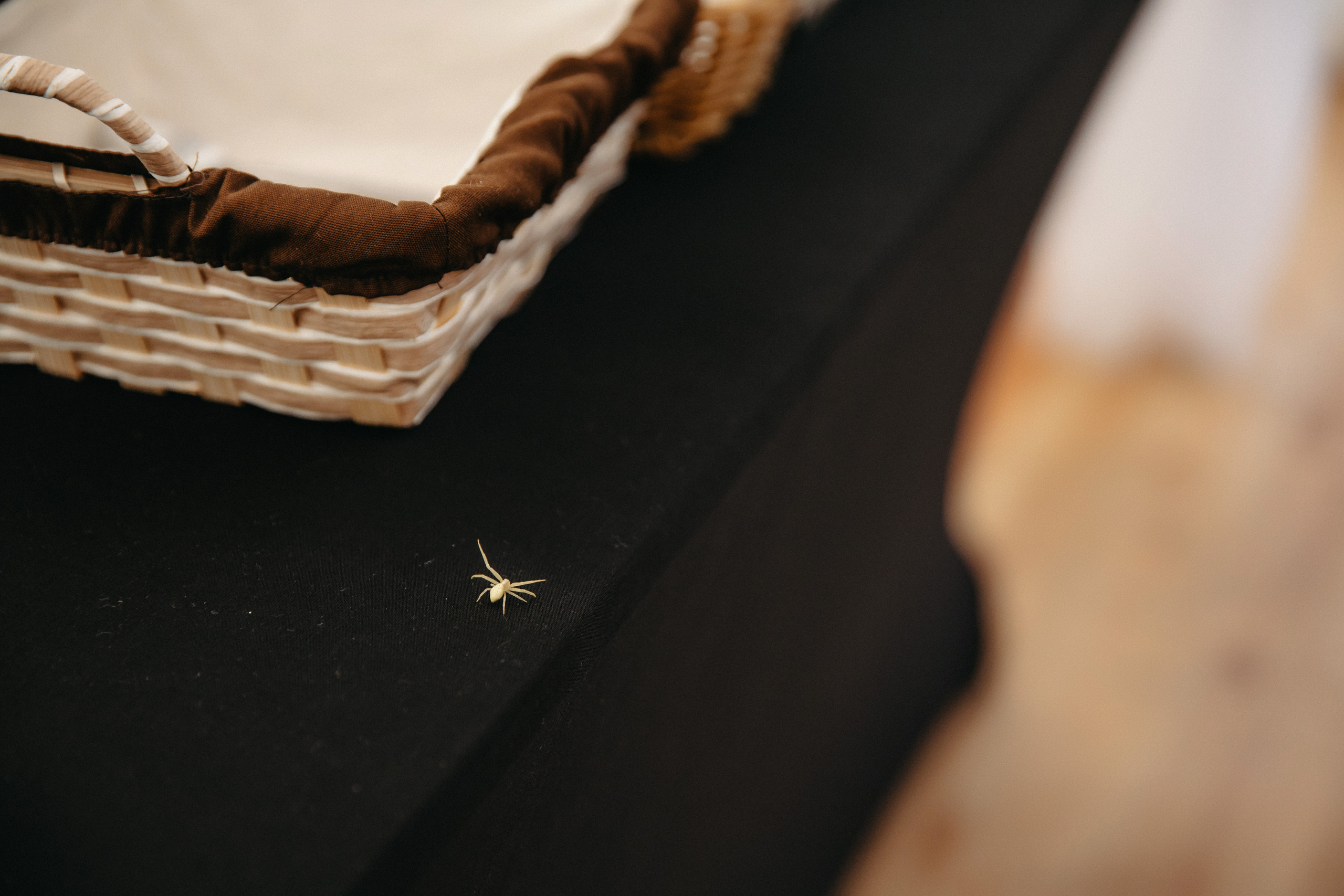 Никита и Виктория. Свадебный и Семейный фотограф по всему миру Анна Фёдорова