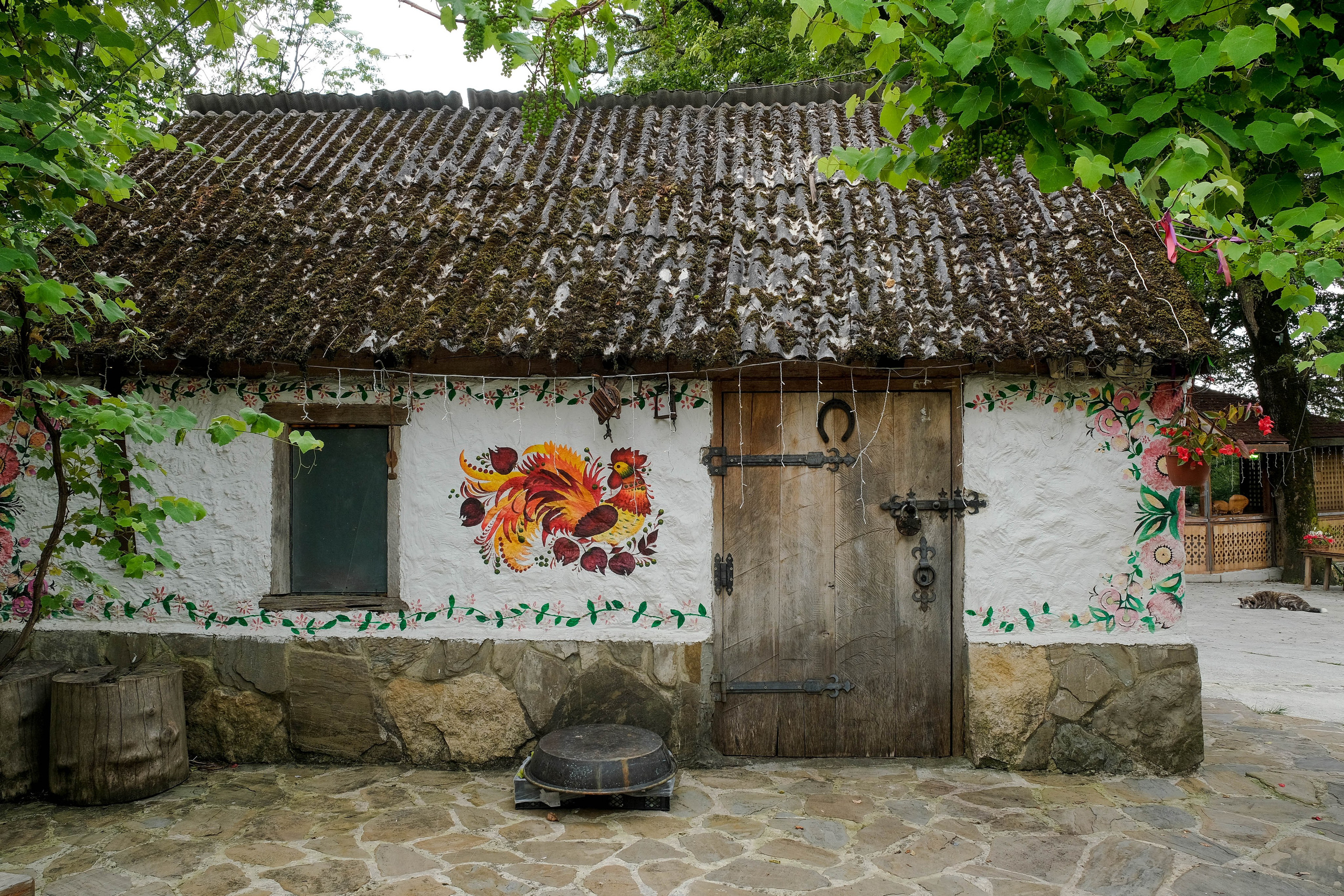 Репортажная съемка