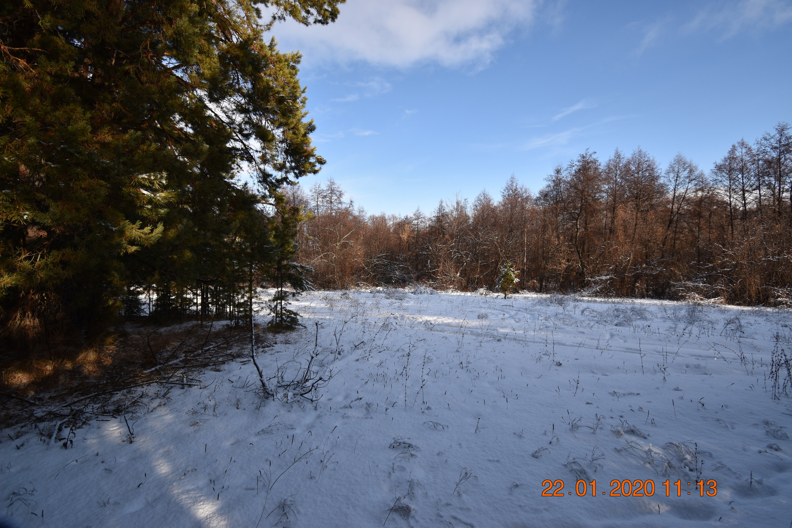Все что тронуло, миниатюры. Созерцатель. фотографирую что тронуло и впечатлило. самарская область