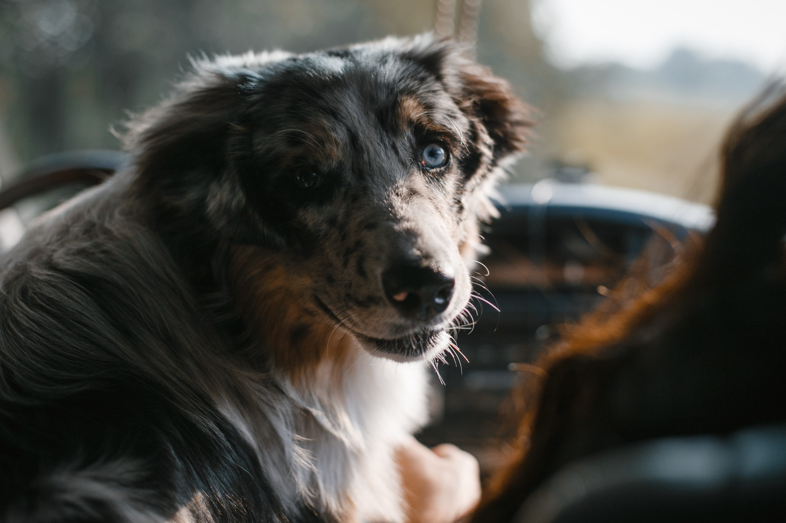 Mike. PHOTOGRAPHER romanoff-egor