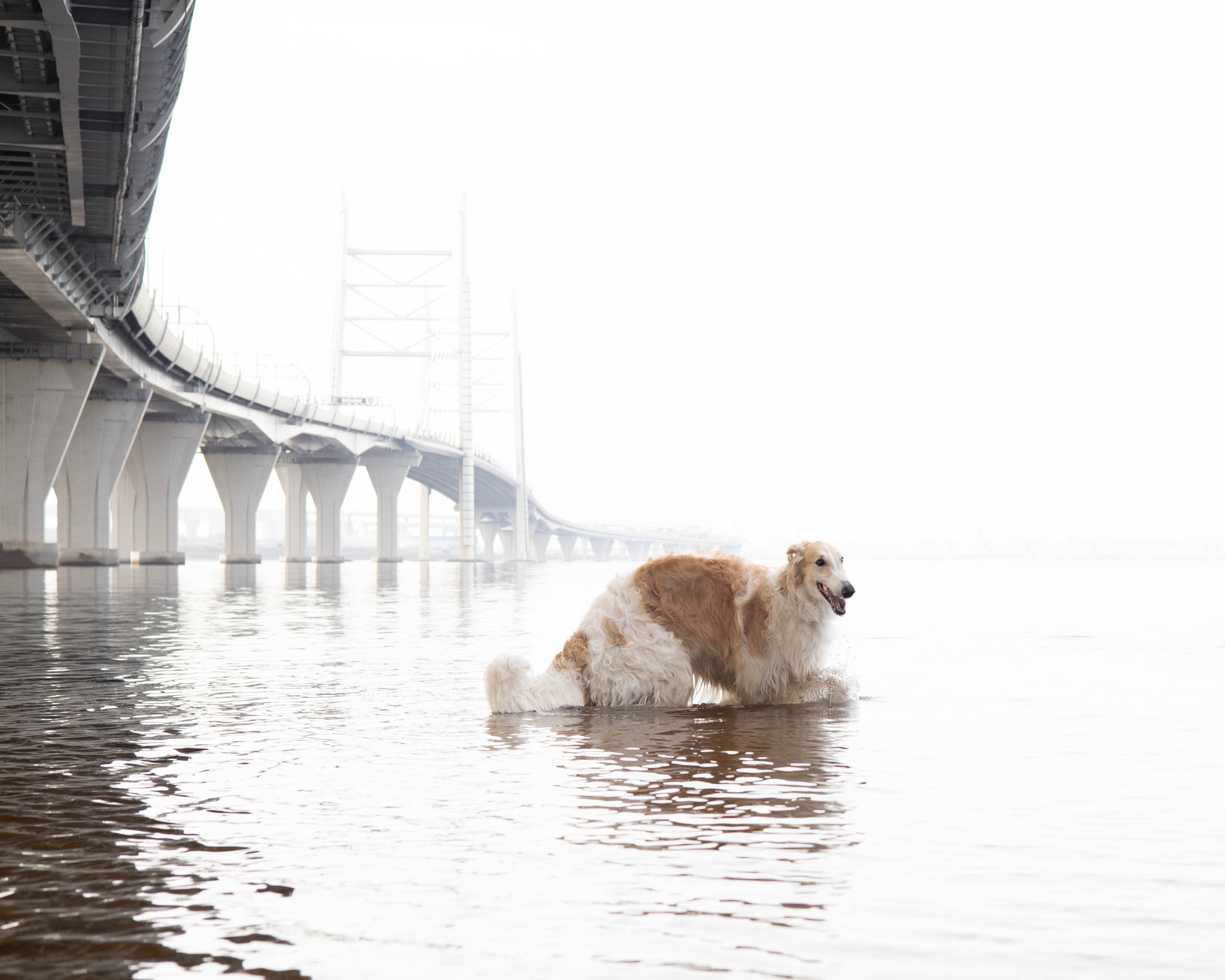Ретушь. Фотограф Татьяна Власова