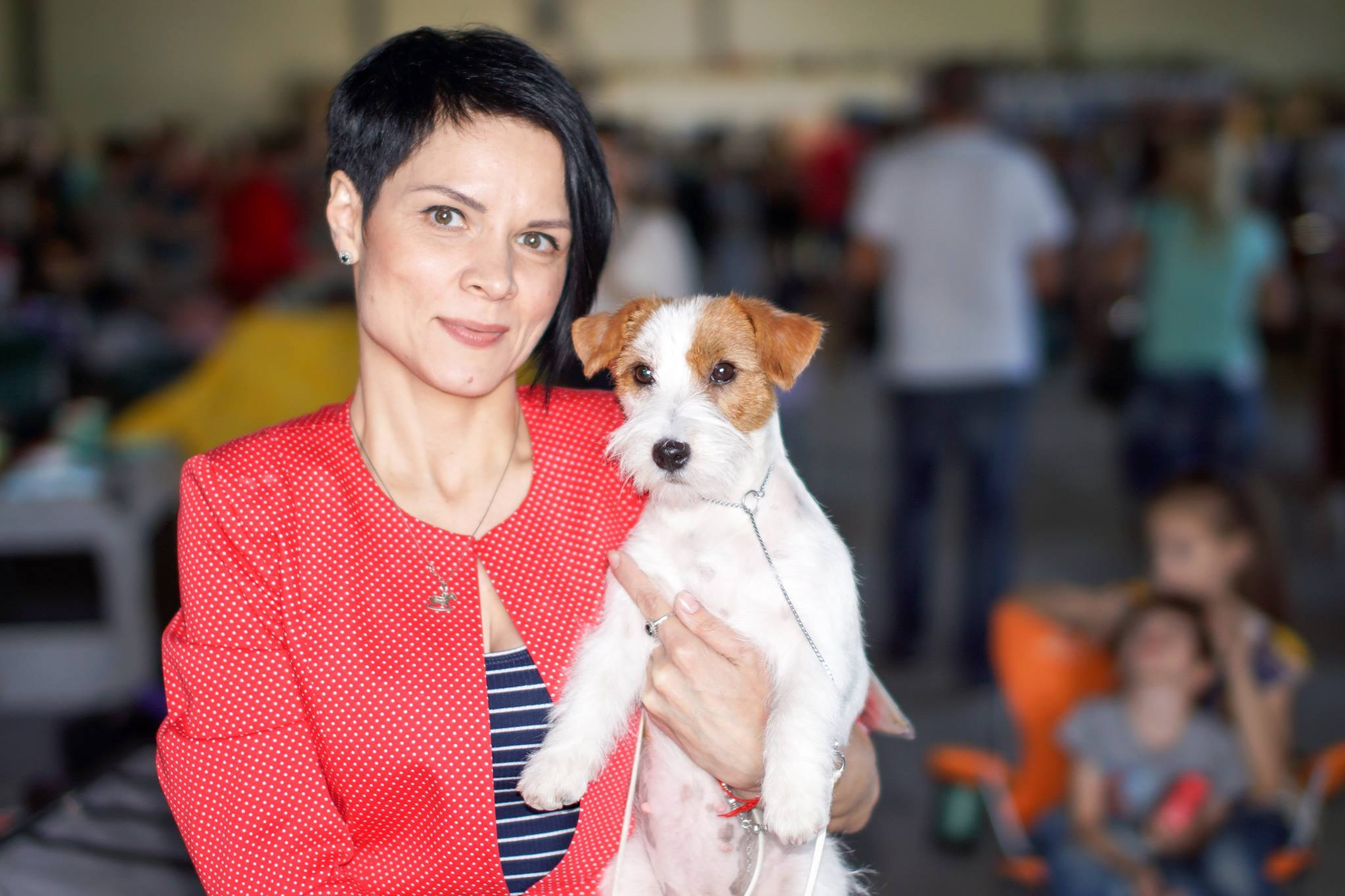 MARGARITA. CANE MAESTRO — kennel Jack Russell Terrier