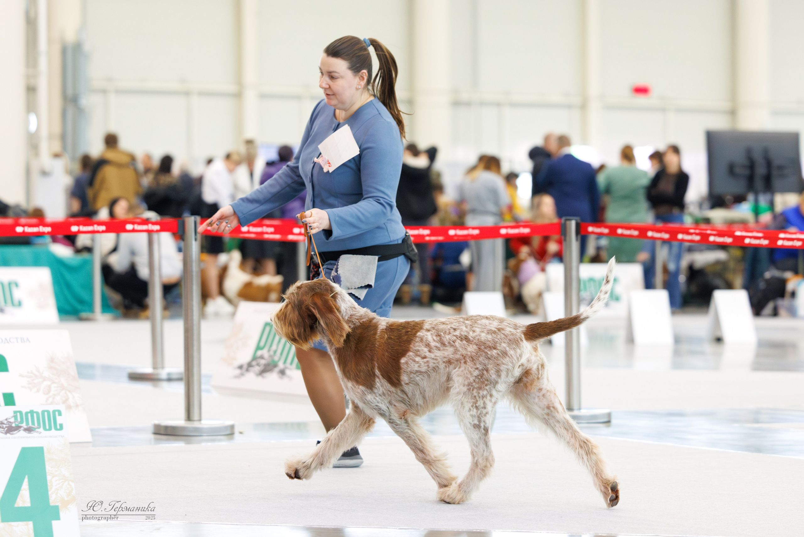 Сабанеевка Казань 25-26.01.2025. Фотограф-анималист Юлия Германика