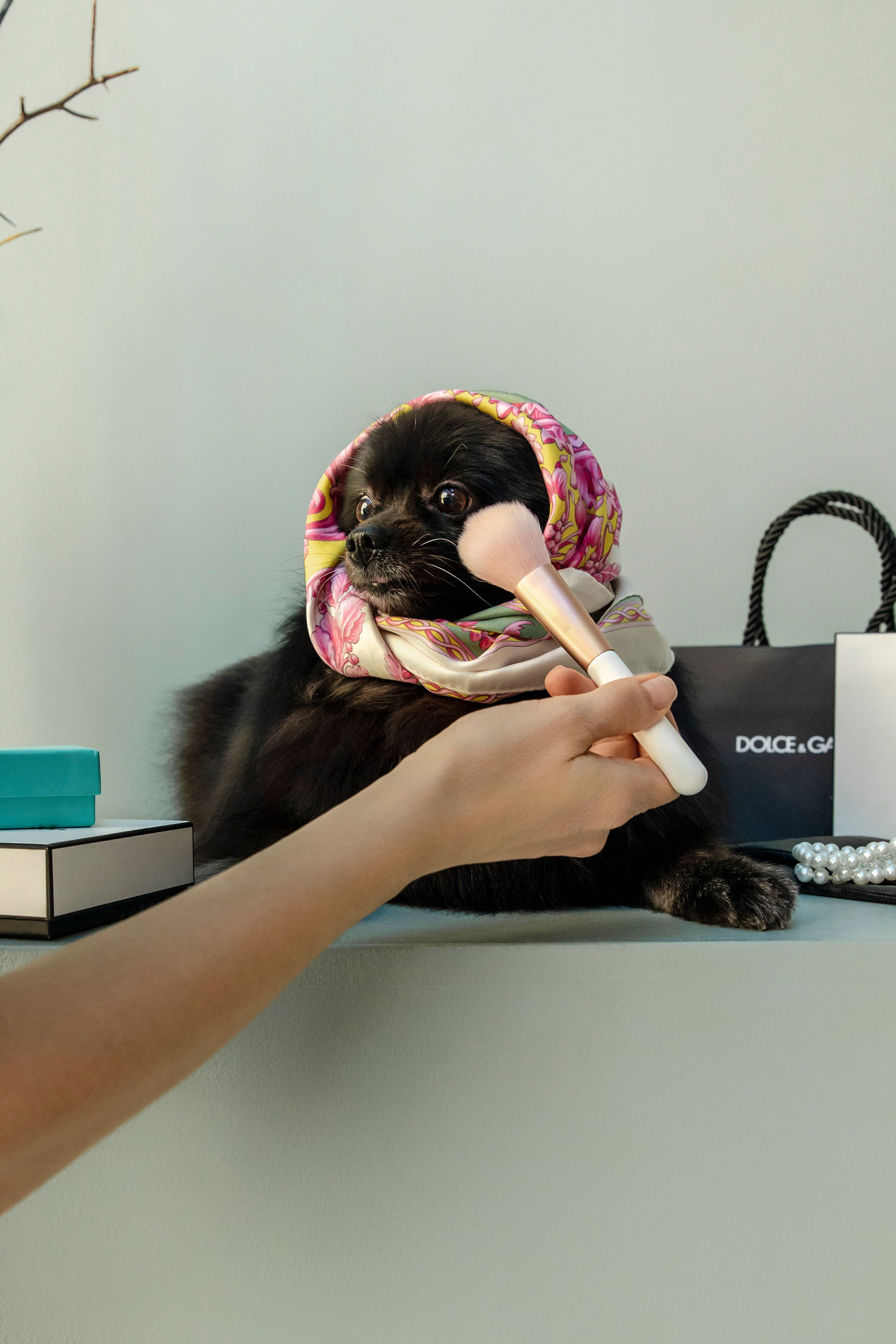 Съемка в студии с собакой. Анастасия Белаш