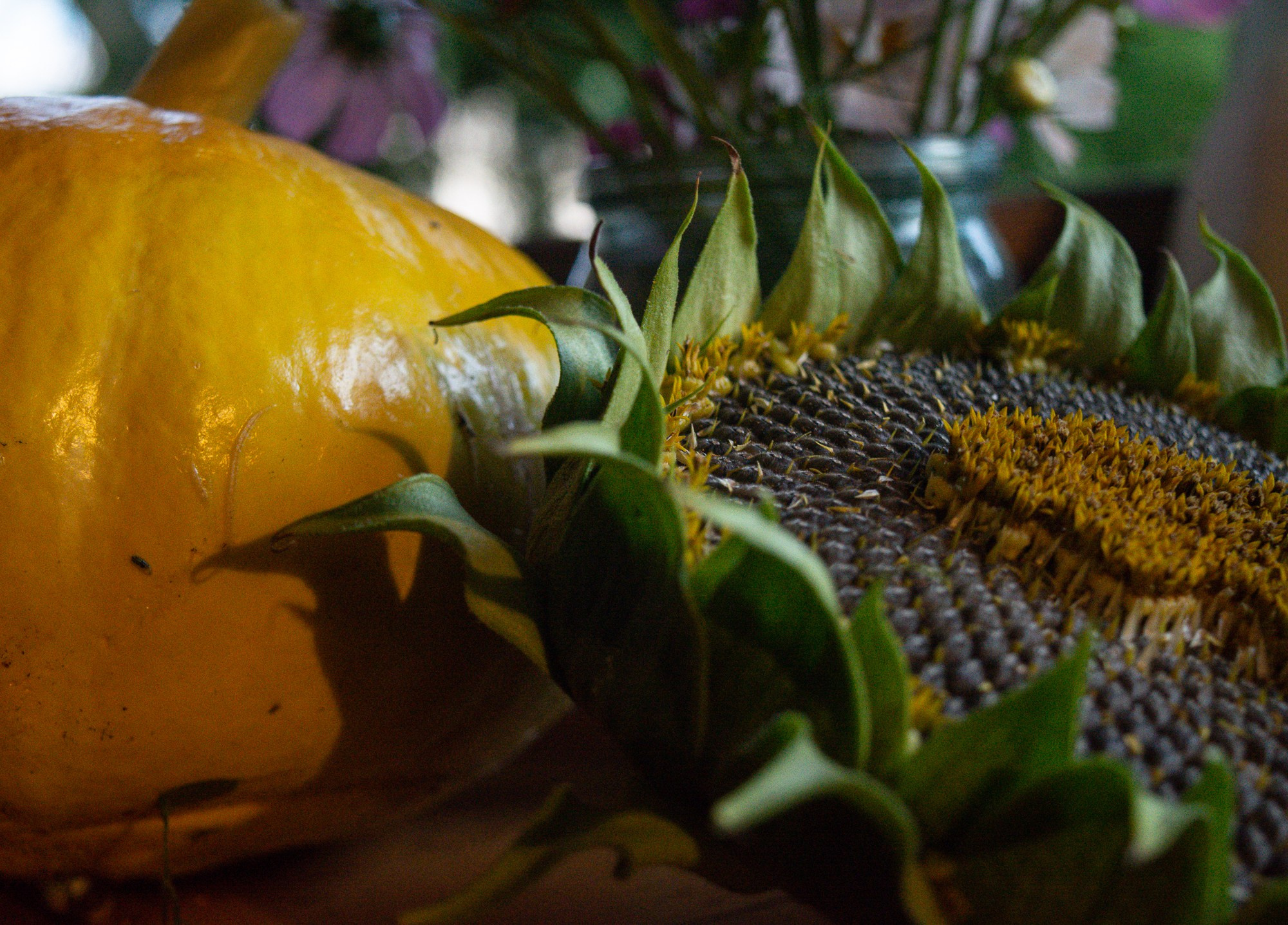 Разное. Репортажный фотограф г. Чита