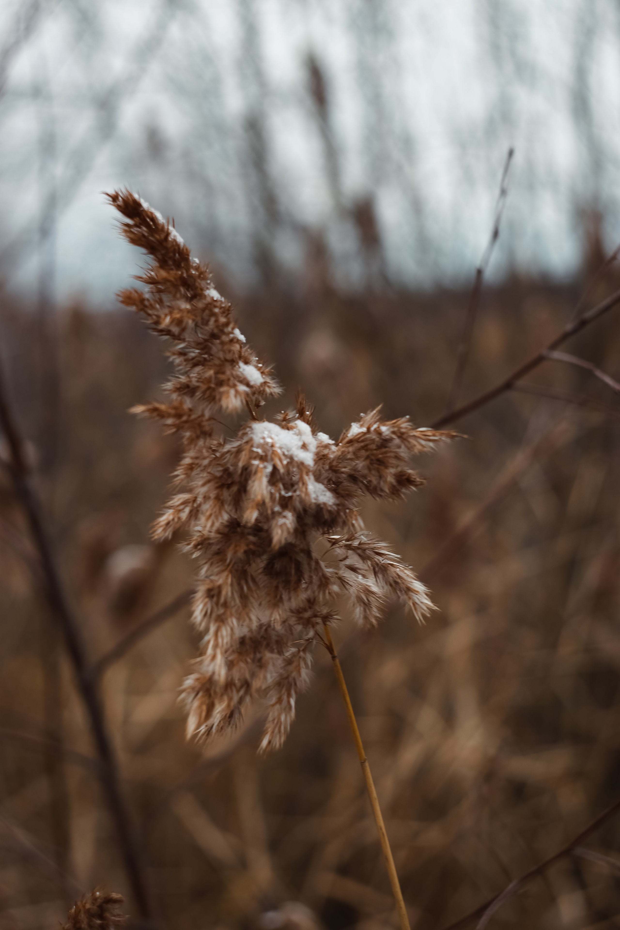 Ноябрь 2022. Efremovaphoto.ru