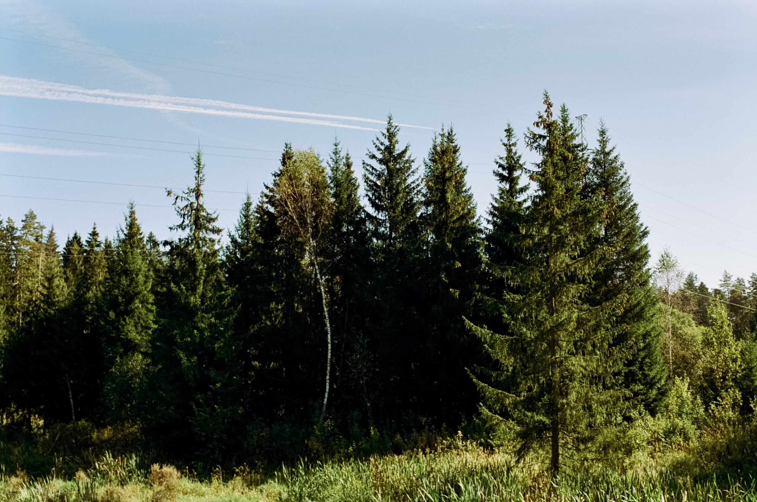 Mamiya-Sekor C 45mm f2.8 N