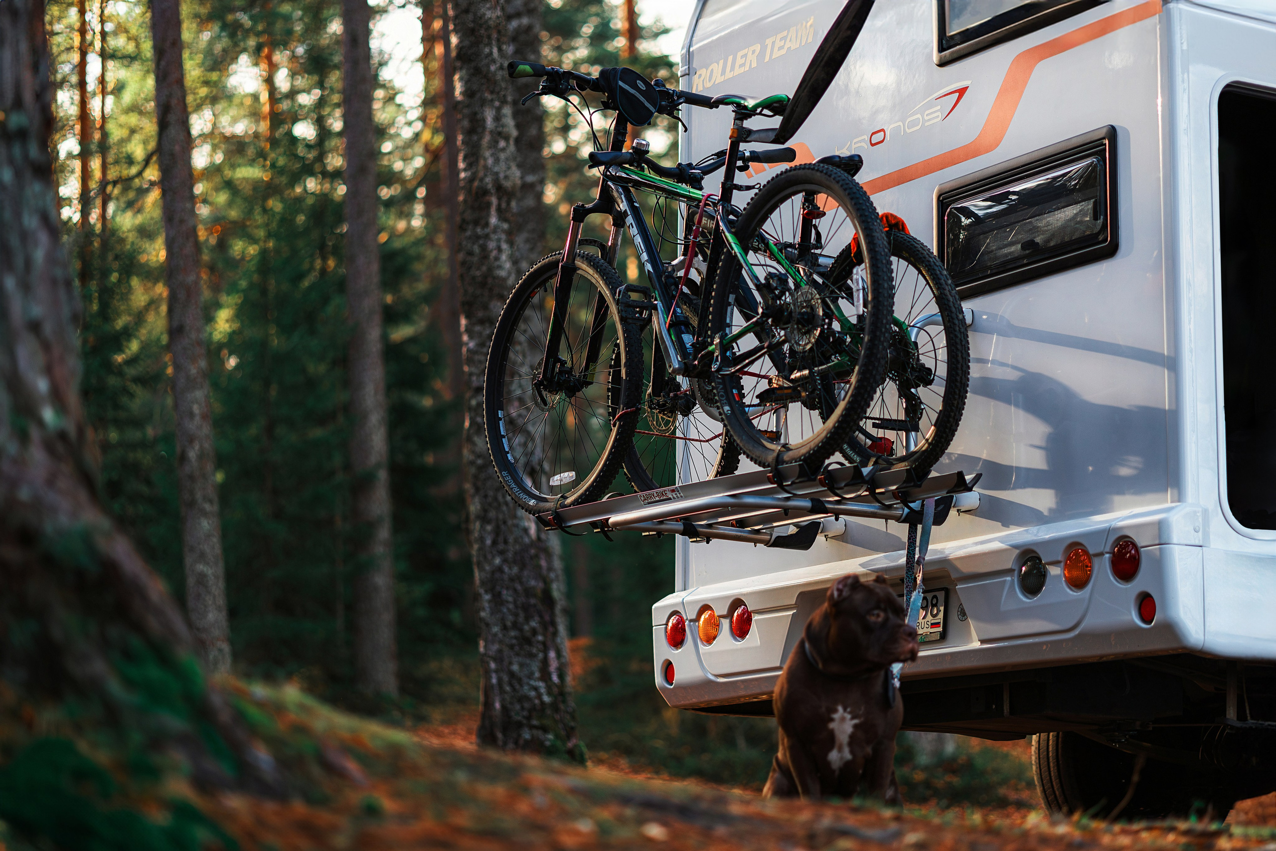 Рекламная фотосъемка автодомов в Санкт-Петербурге | Фотограф для бизнеса