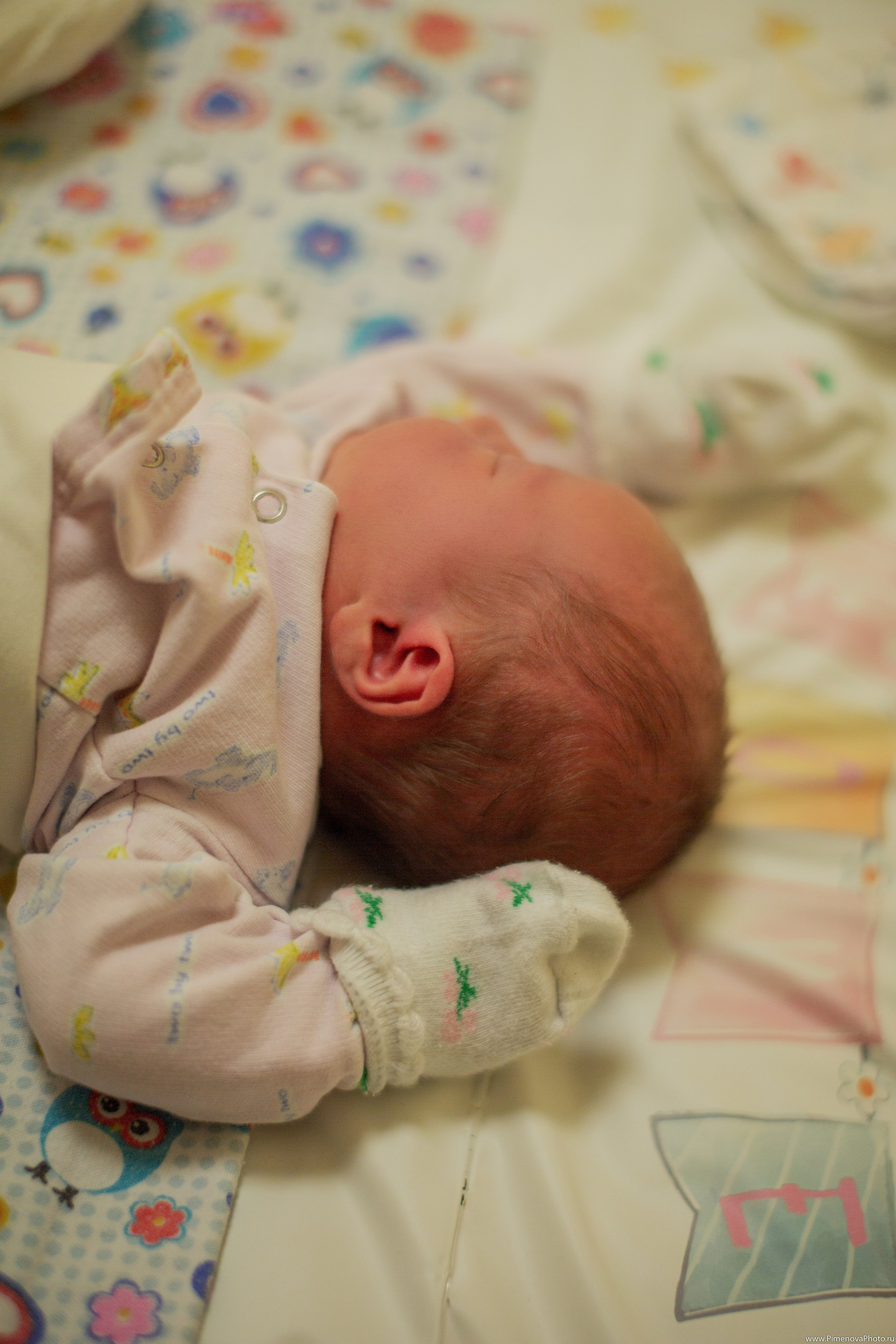 Истории. Семейный и детский фотограф в Петрозаводске