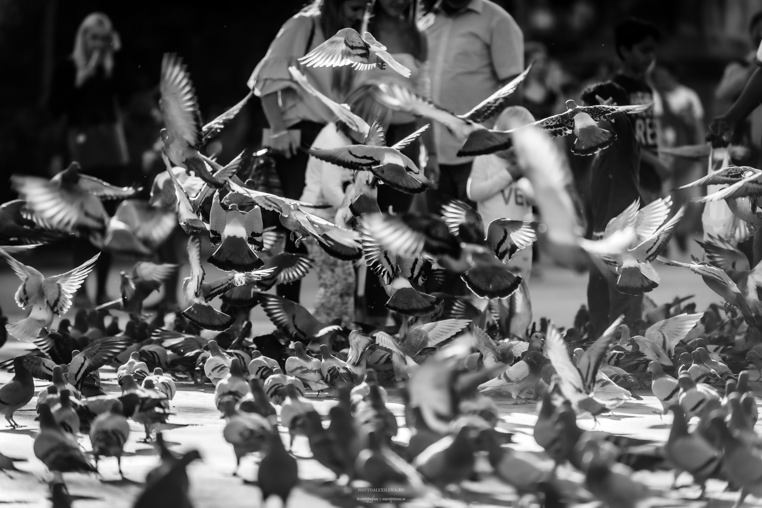 Решающий момент. Авторские стильные фотокартины